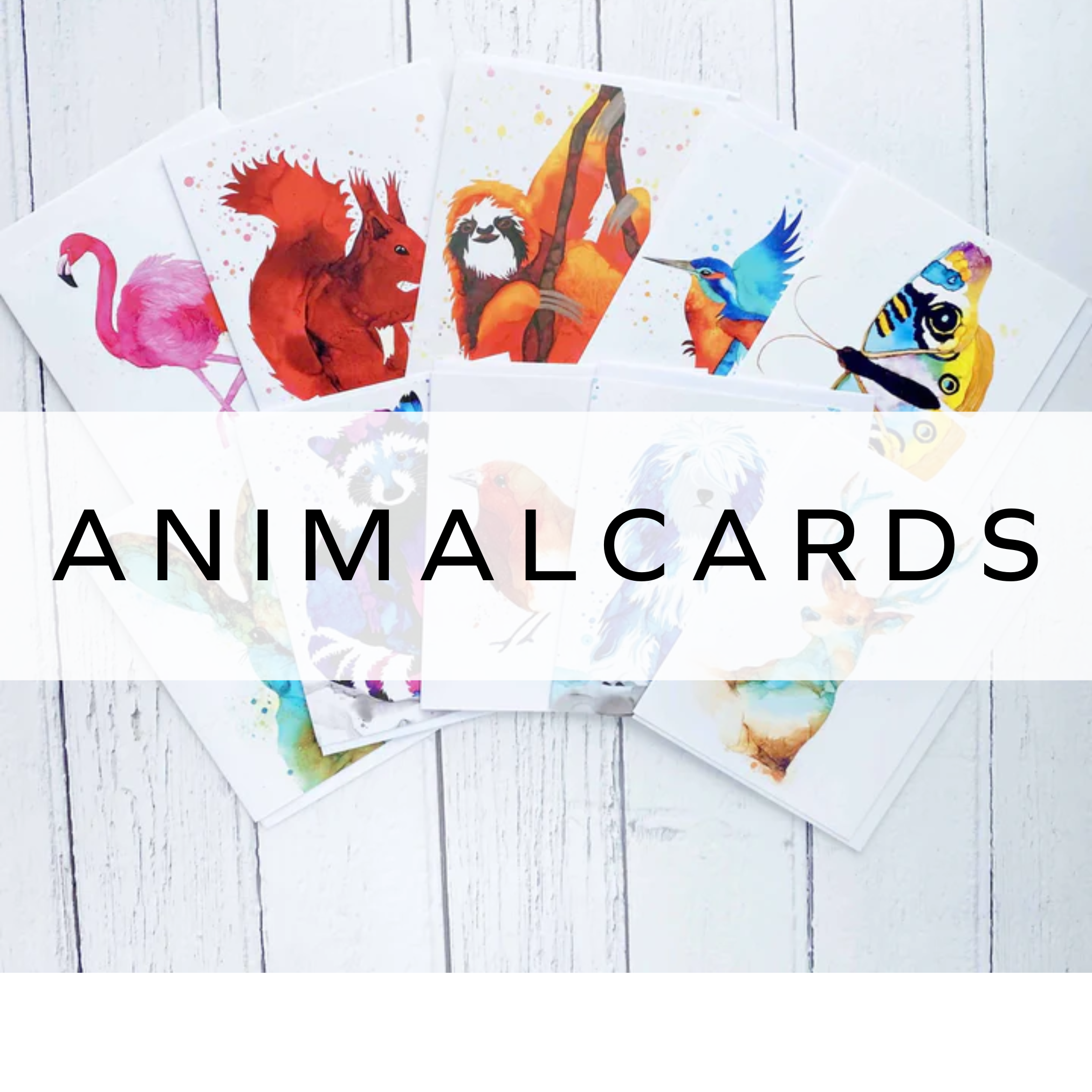 A spread of colourful animal cards featuring various illustrated animals in bright, vibrant colours, showcasing a mix of playful and artistic designs.