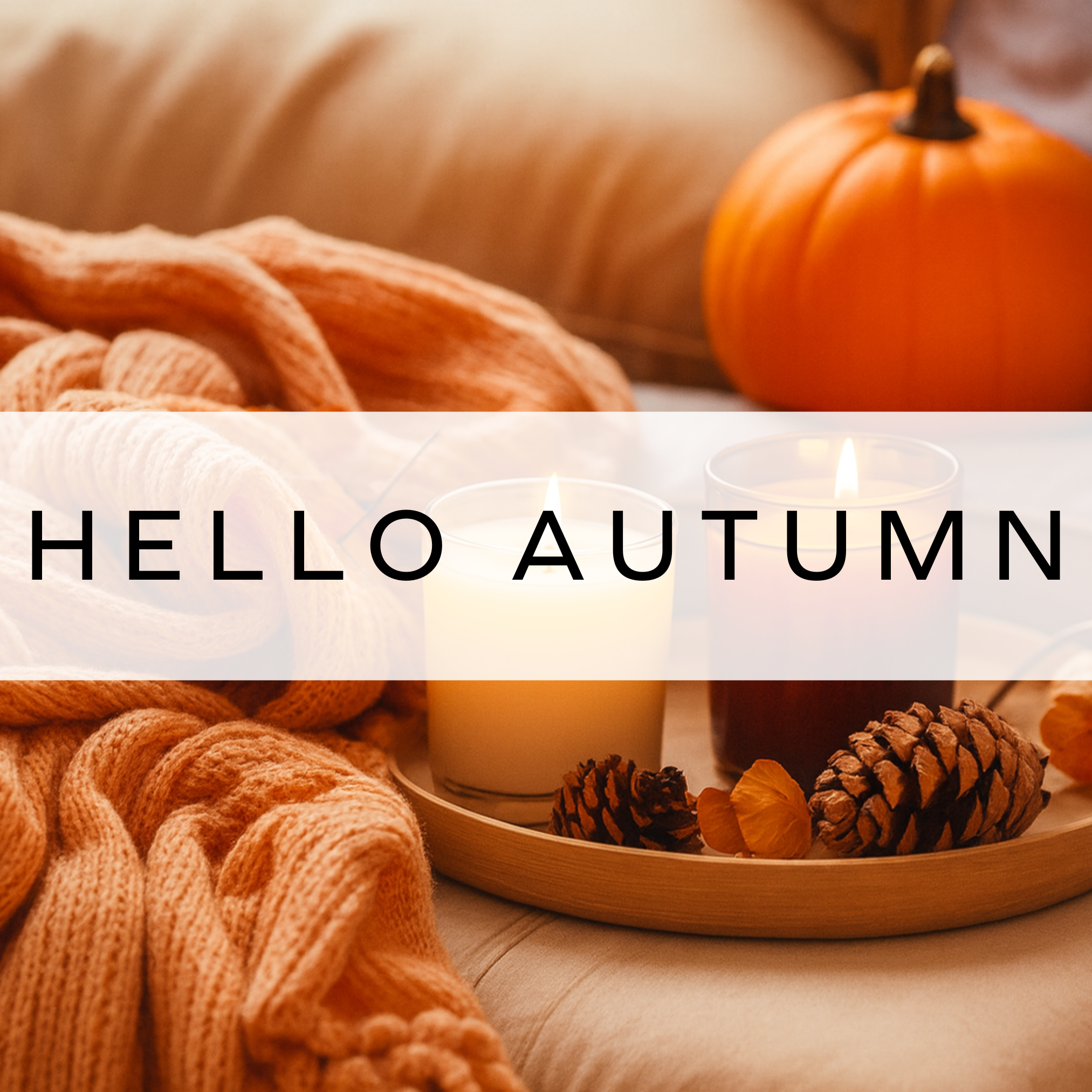 A charming postcard featuring a sleeping fox surrounded by autumn leaves, capturing the peaceful essence of the season in a cozy and whimsical design.