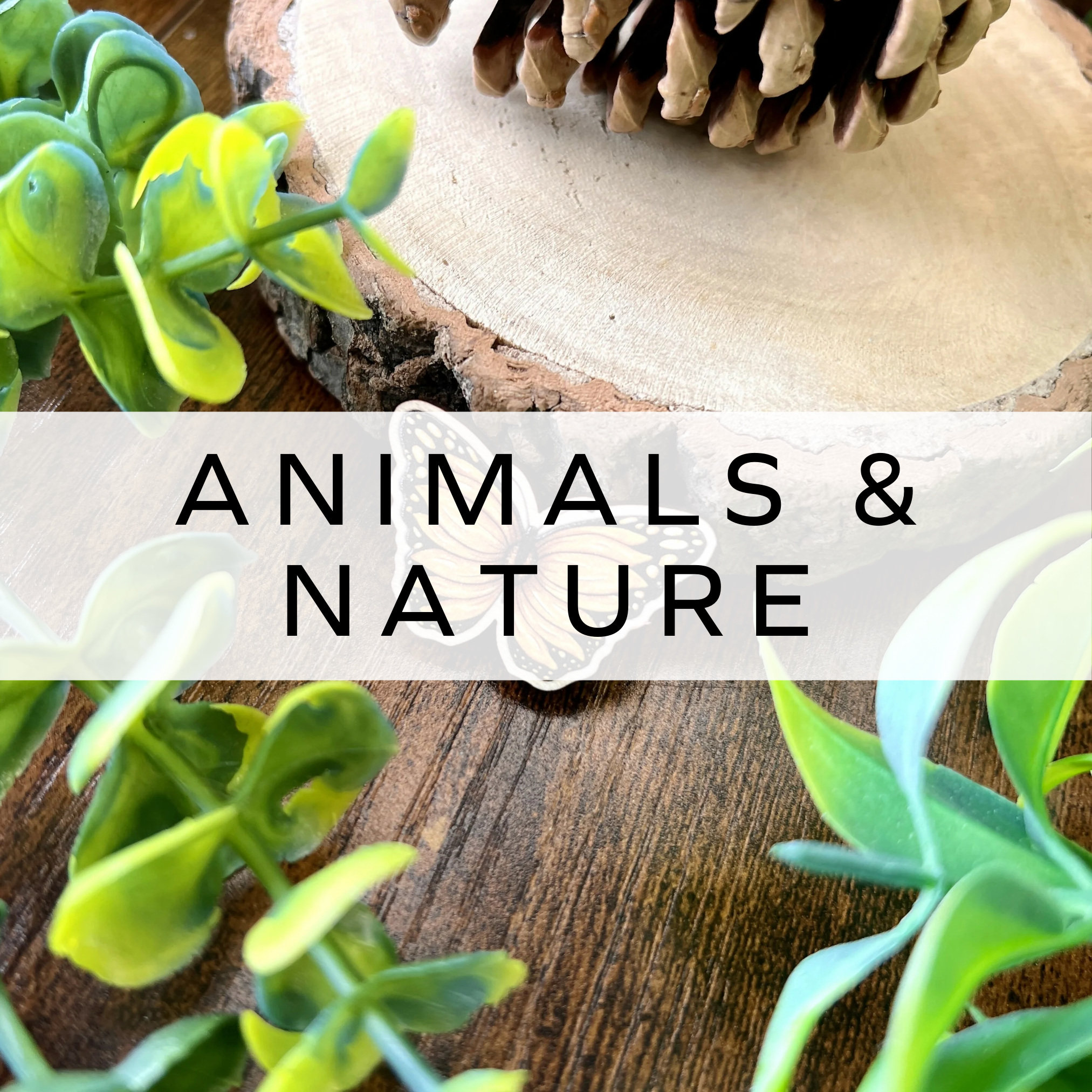 A detailed moth pin badge with delicate wing patterns, featuring earthy tones and intricate design, inspired by nature and perfect for accessorising jackets or bags.