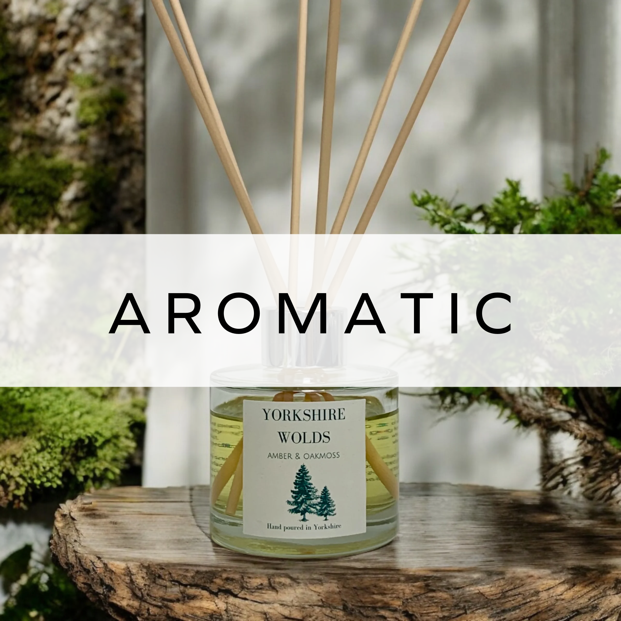 A reed diffuser with elegant sticks, placed in front of a serene woodland backdrop, showcasing a natural, calming ambiance.