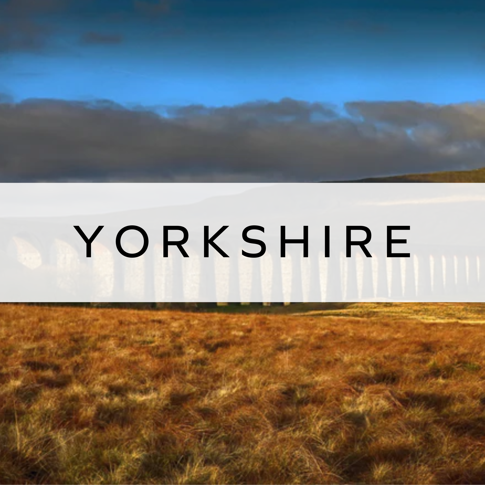 Photograph of a peaceful field in Yorkshire, with rolling hills and lush greenery under a bright sky, capturing the serene beauty of the countryside.