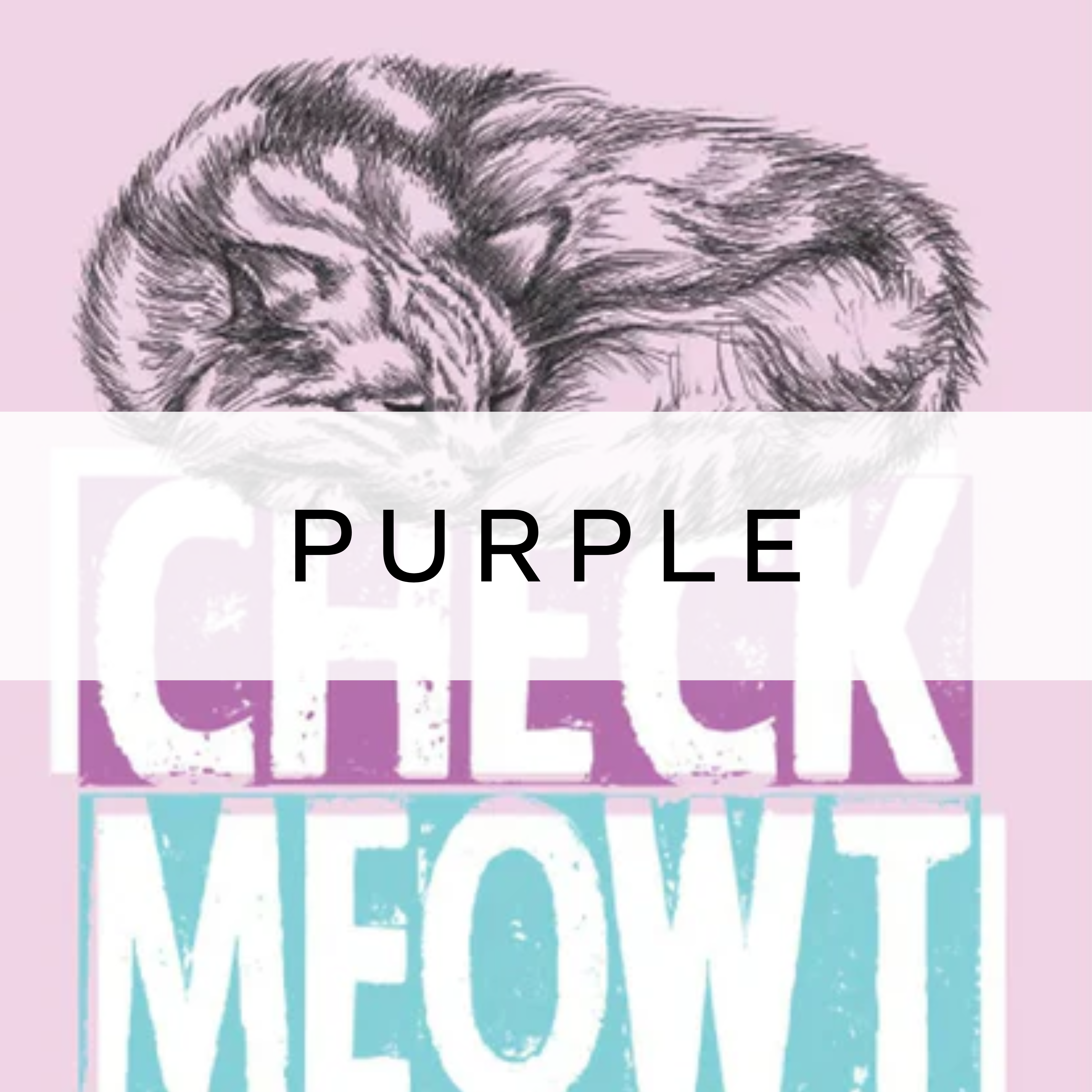 Cute cat sitting on top of 'Check Meowt' typography, playful and fun cat-themed design.