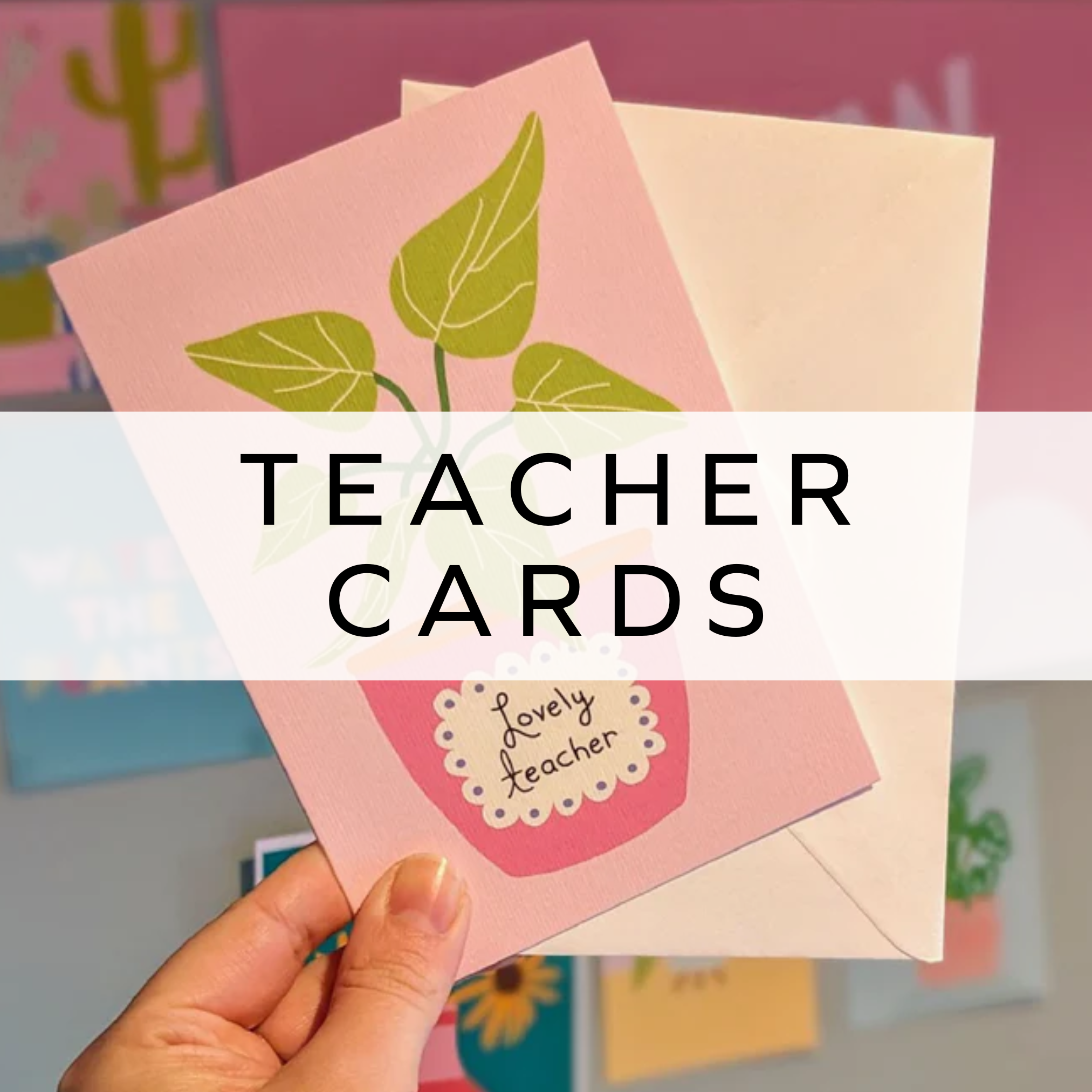 Pink teacher appreciation card featuring a delicate house plant illustration, perfect for expressing gratitude to a special educator.