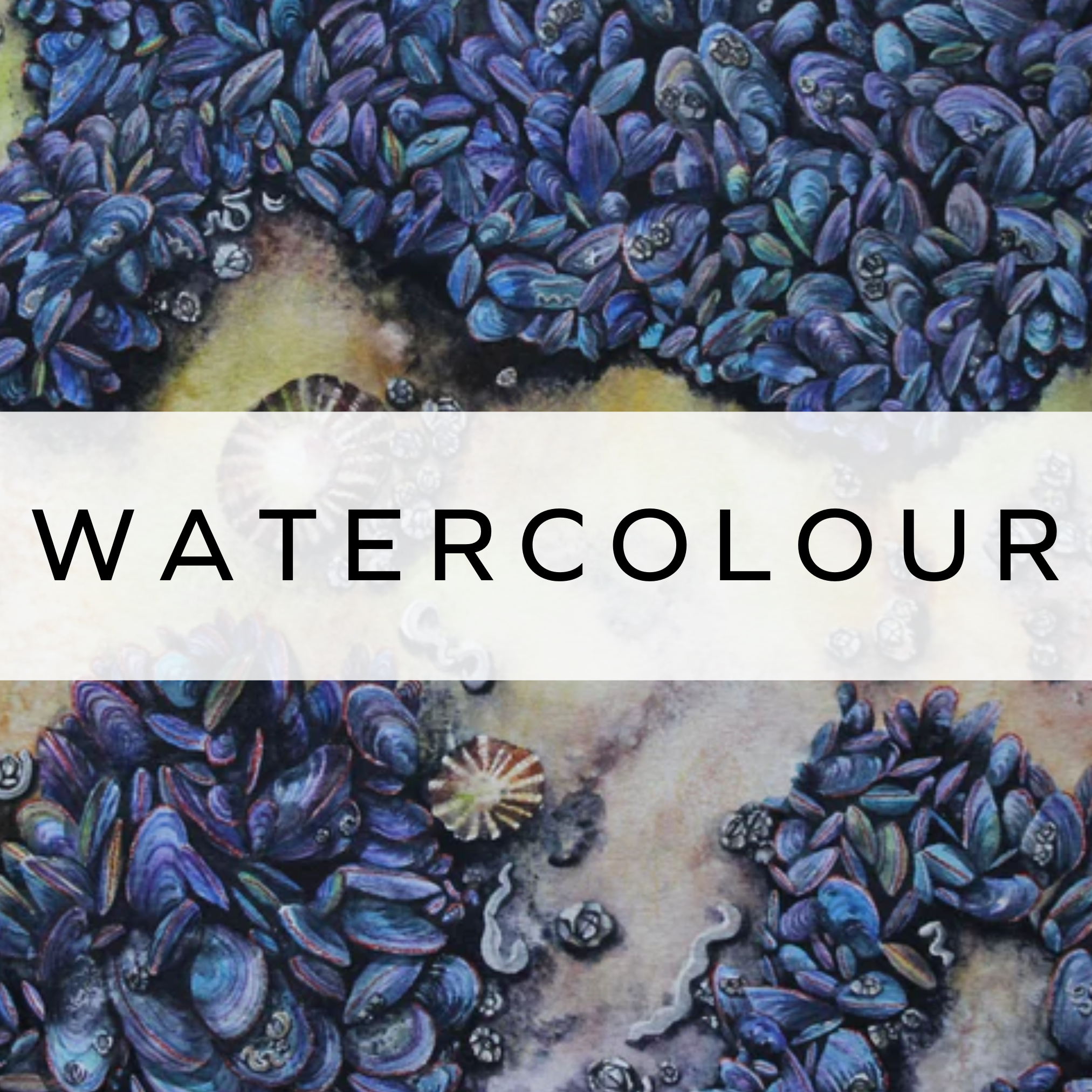 Original watercolour painting of a seashore covered in mussels, capturing the delicate textures and colours of the coastal landscape.