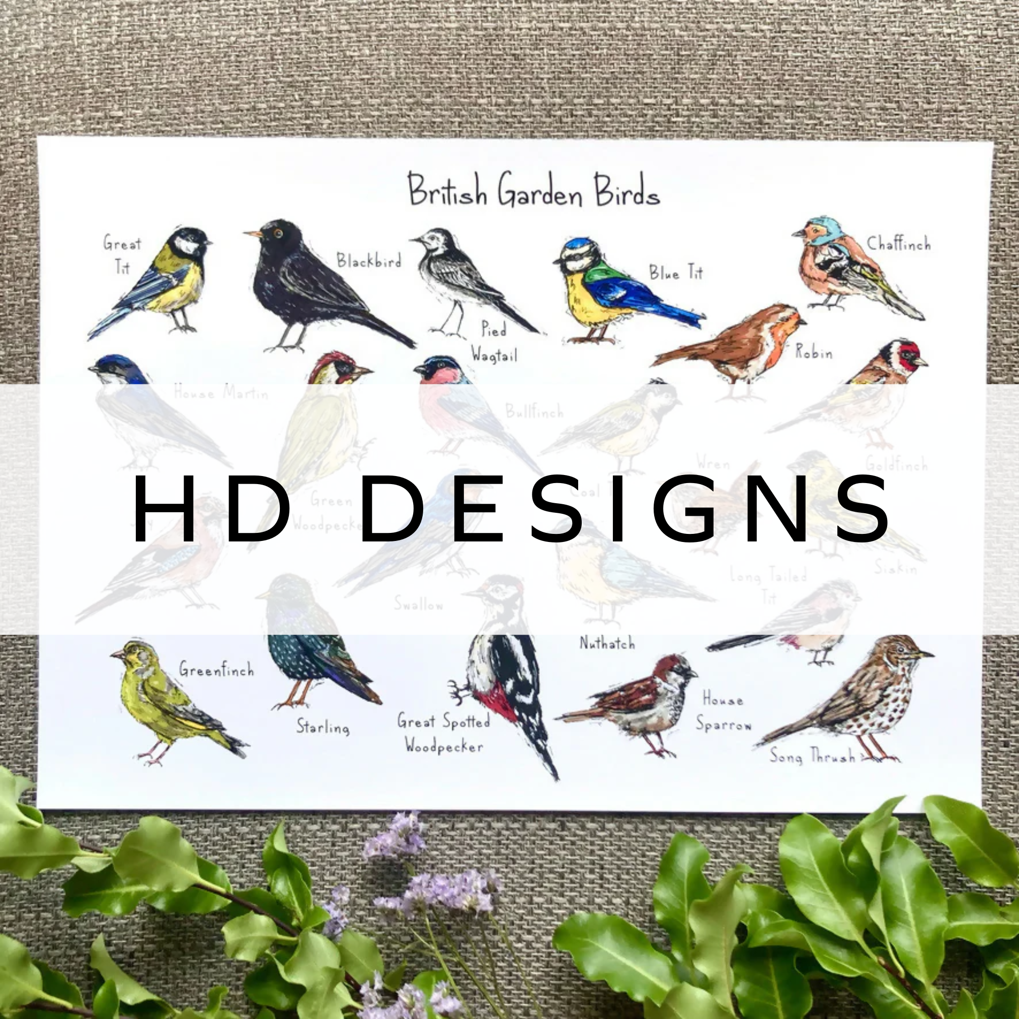 Hand-drawn print featuring beautifully illustrated British garden birds, each carefully labeled with their names, showcasing the charm and diversity of UK birdlife.