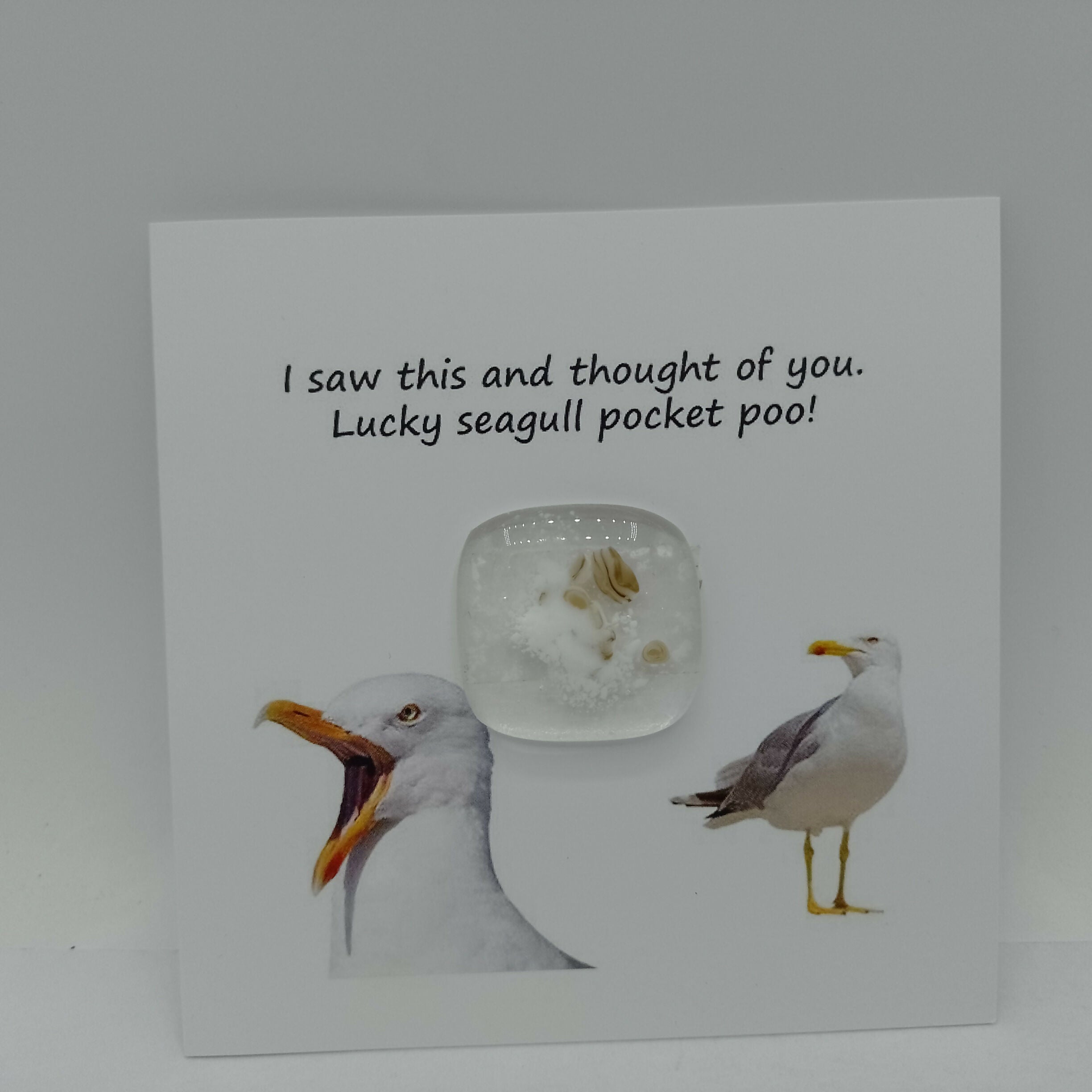 IMG_20250713_131257_758 1