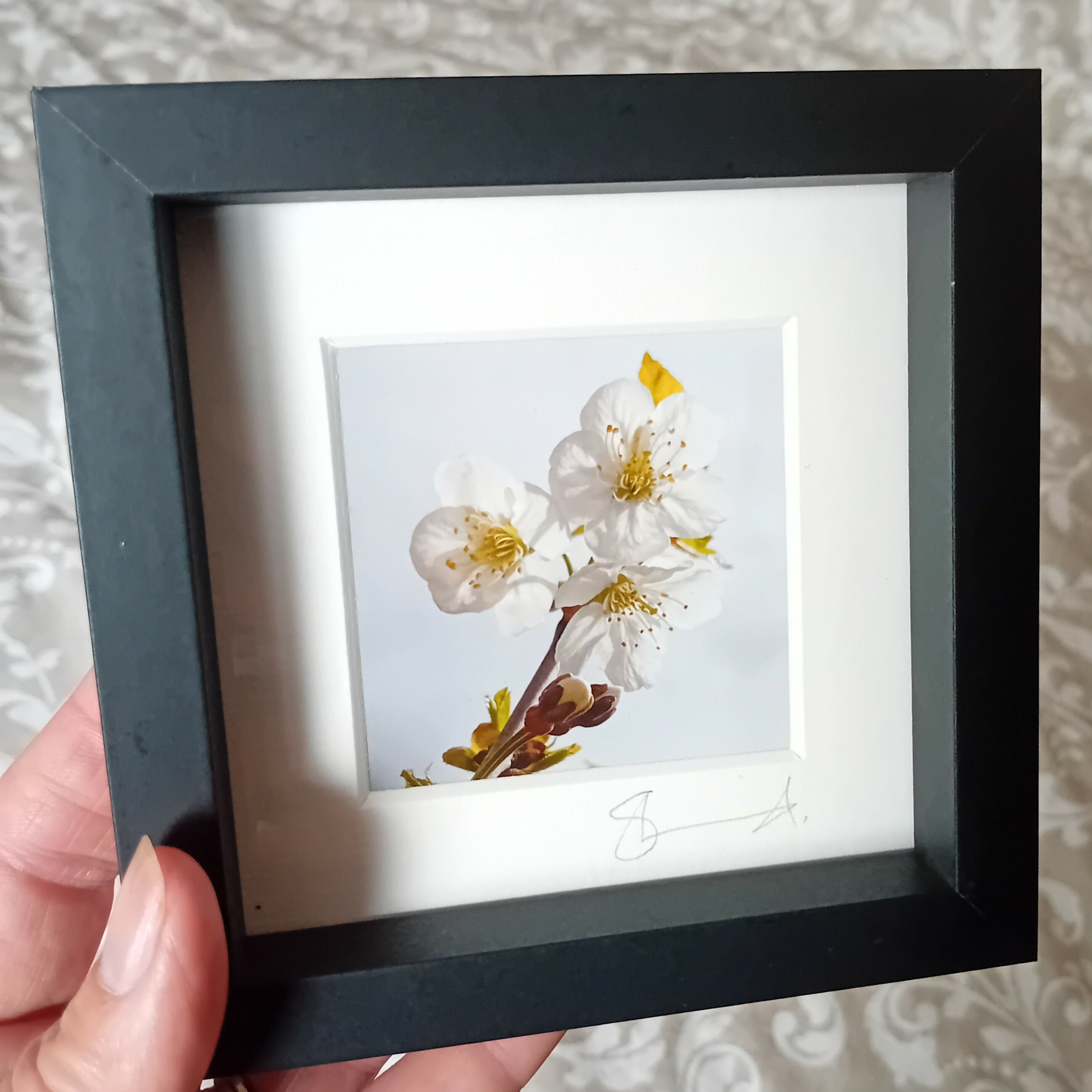 Mini Frames