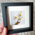 Mini Frames