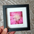 Mini Frames