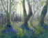 BLUEBELLS AT JACK & ANNE’S - Card
