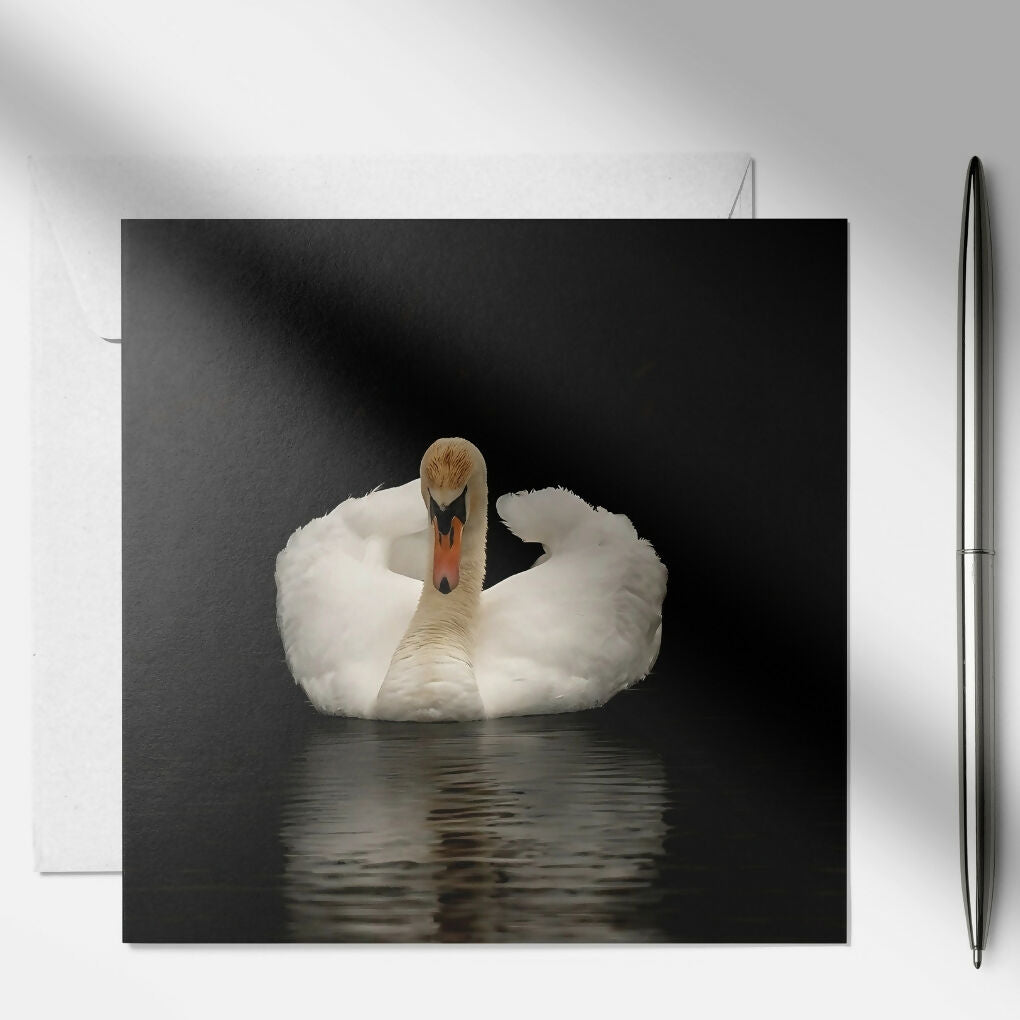 art and soul pictures (10)