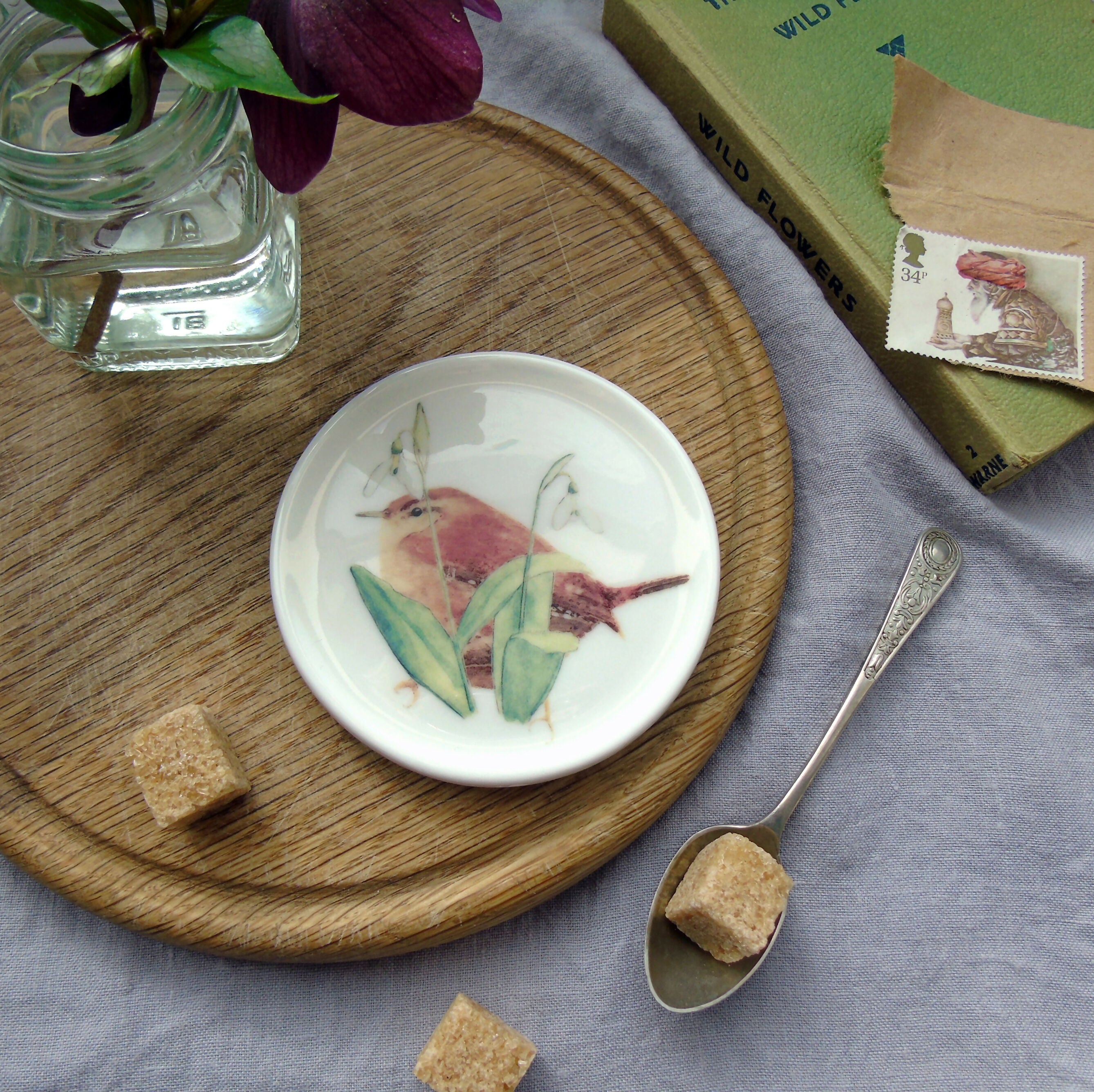 garden bird wren coaster