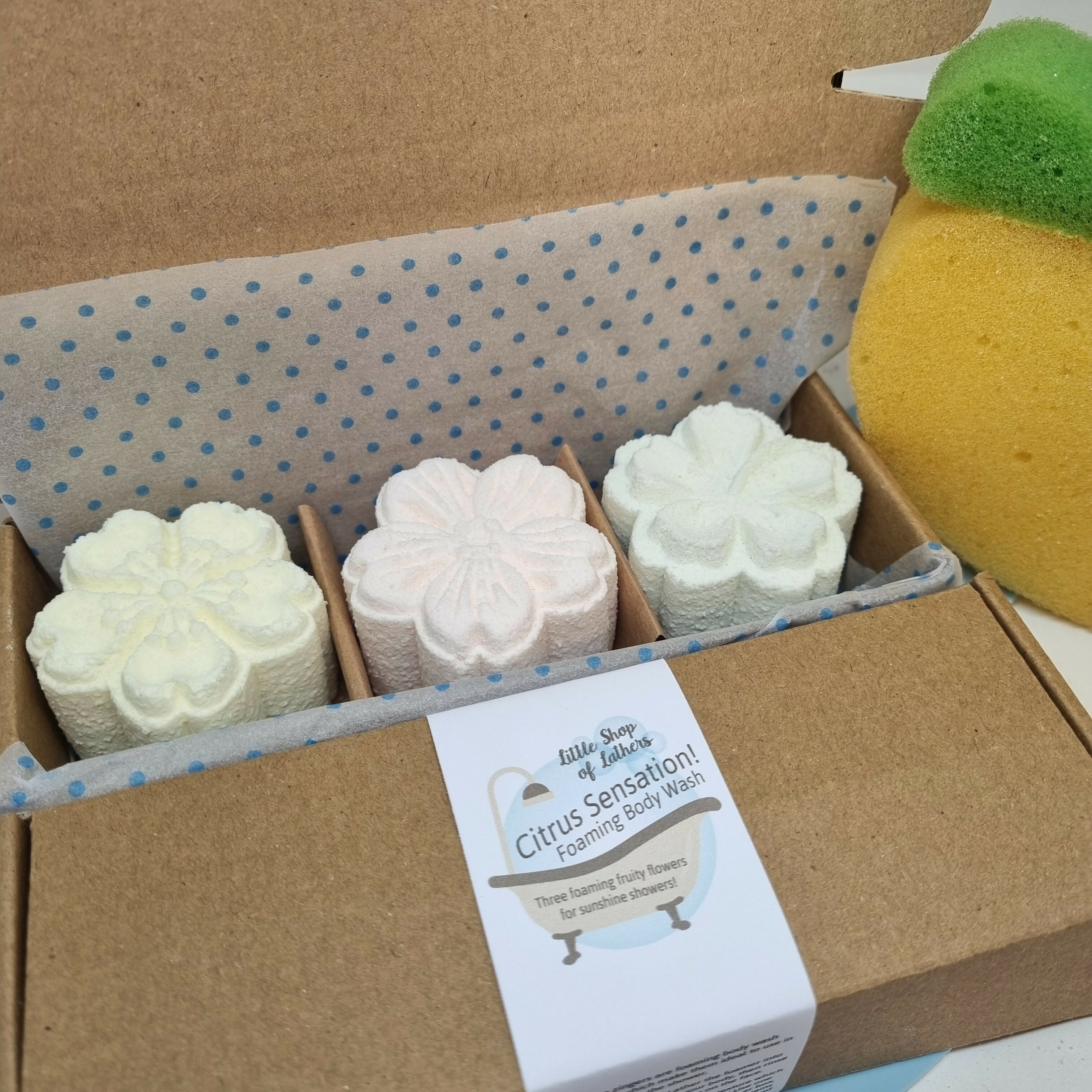 Shower Flower Selection - Foaming Body Wash - Citrus Sensation