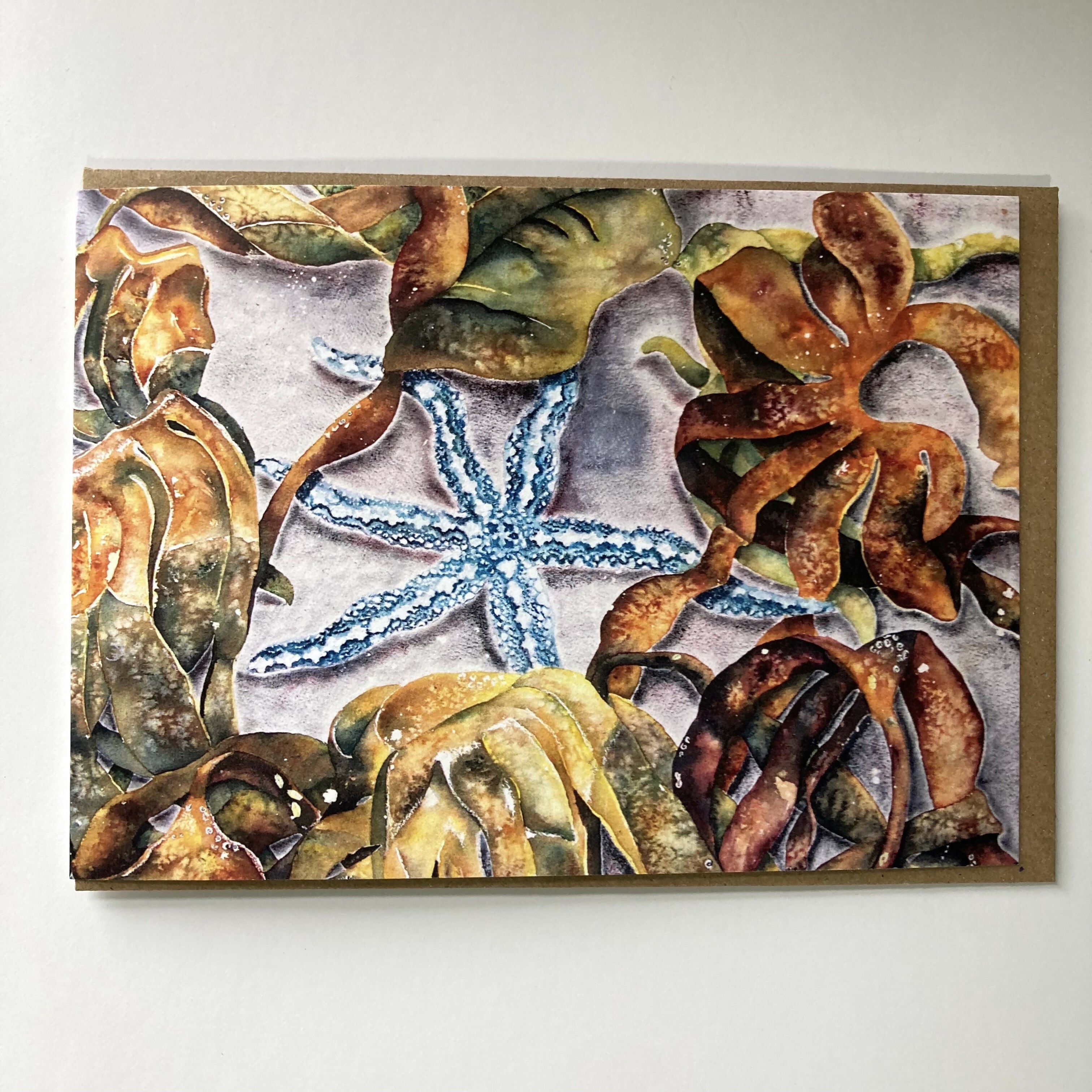 Subtidal star card front square