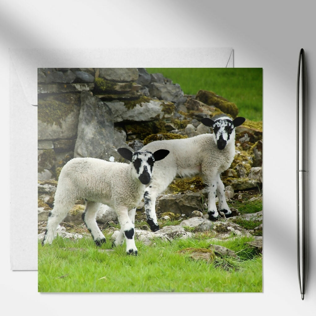 art and soul pictures (7)