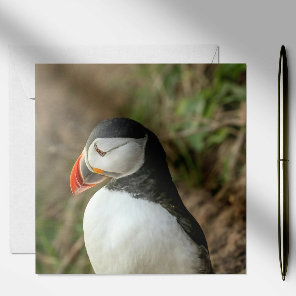 art and soul pictures (6)