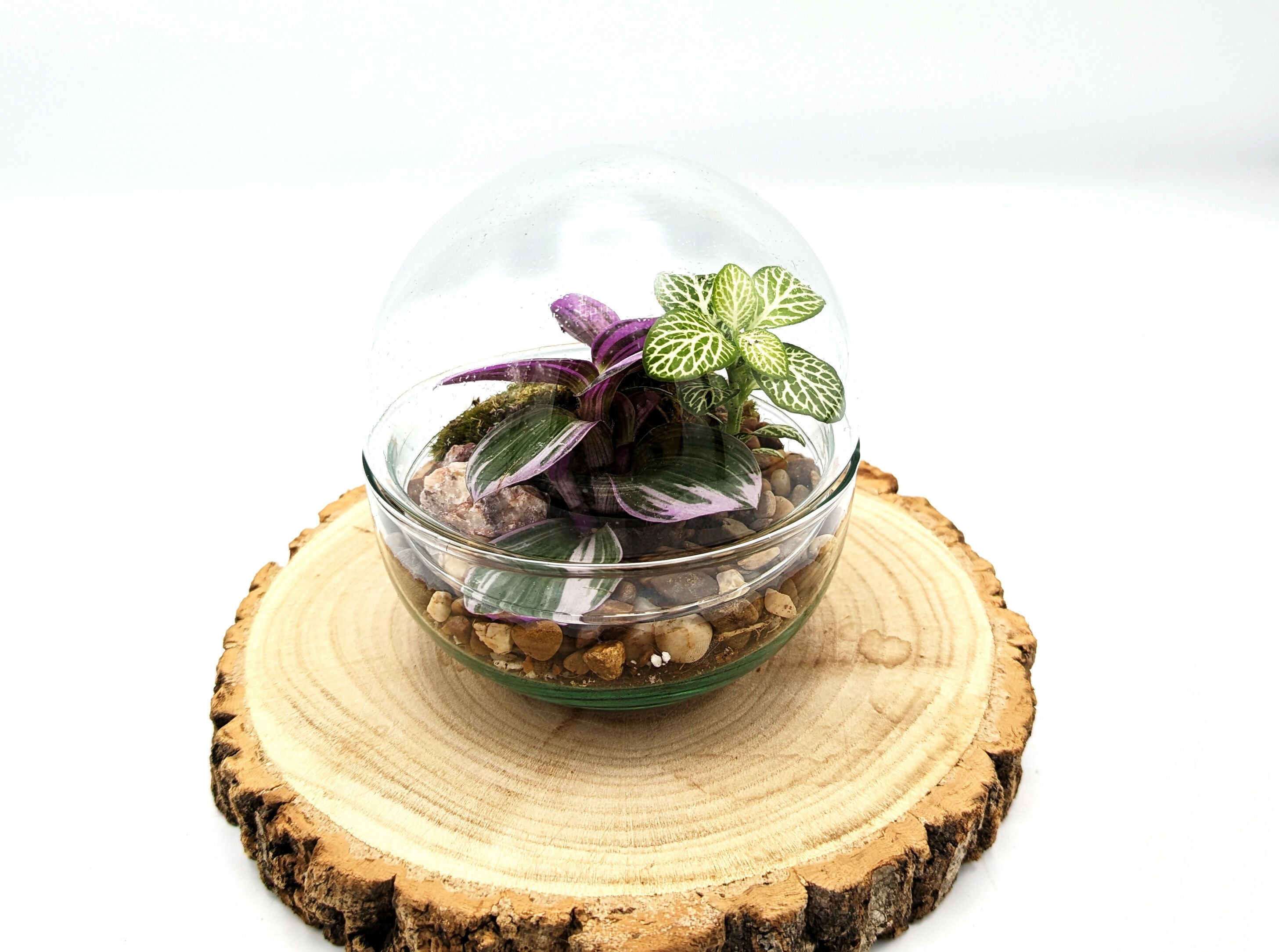 PXL_20230712_125007107