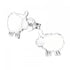 sheep white stud