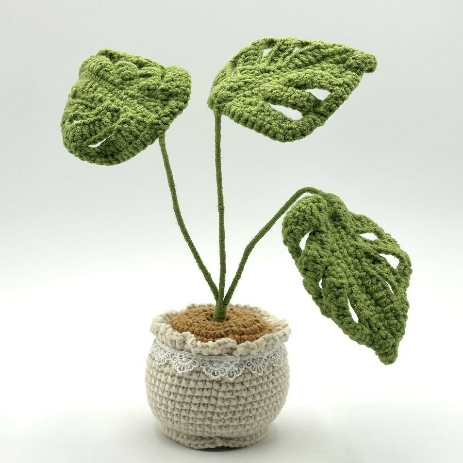 Crochet Monstera Plant in Cosy Yarn Pot