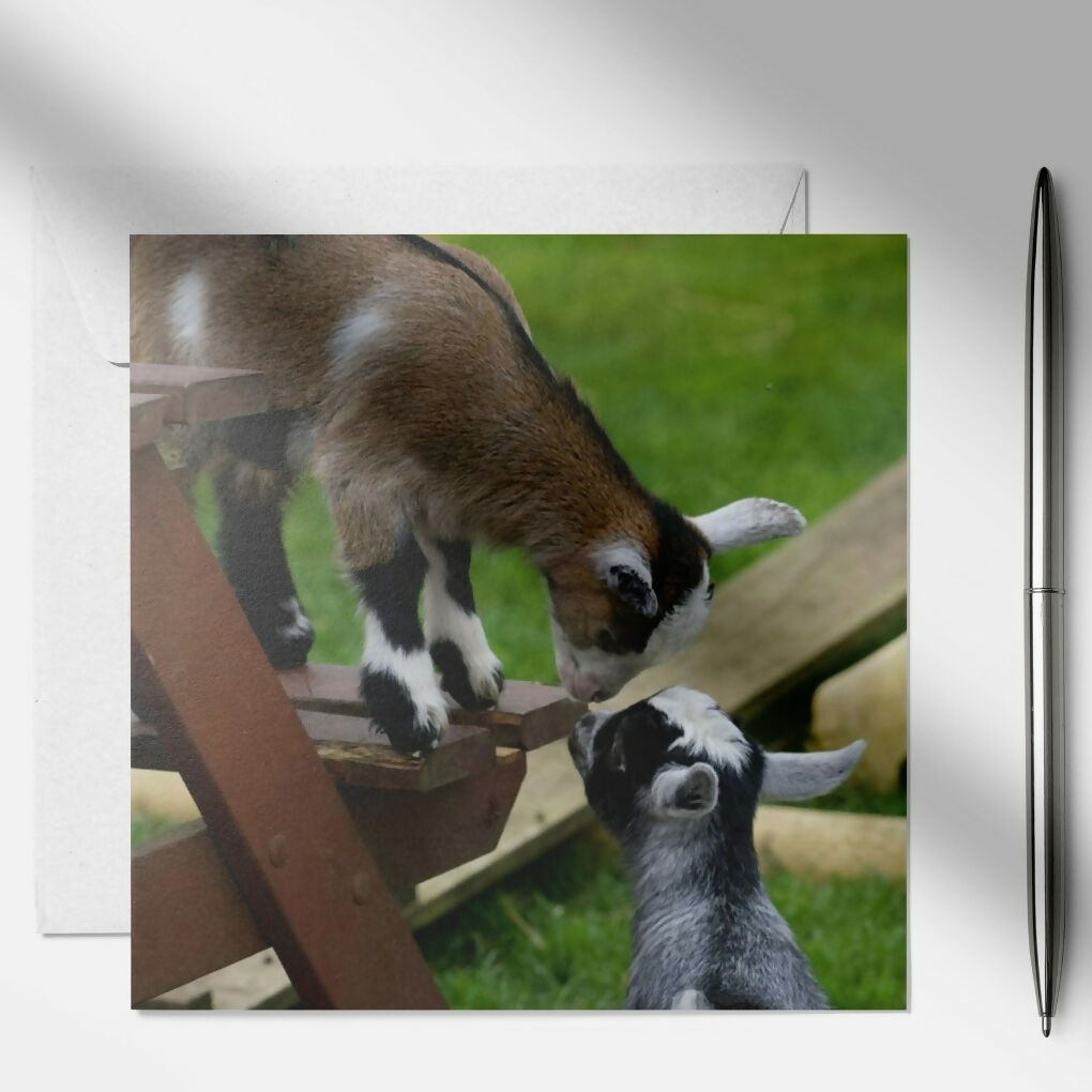 art and soul pictures (4)