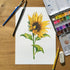 Hand Painted Watercolour Sunflower Print (2)