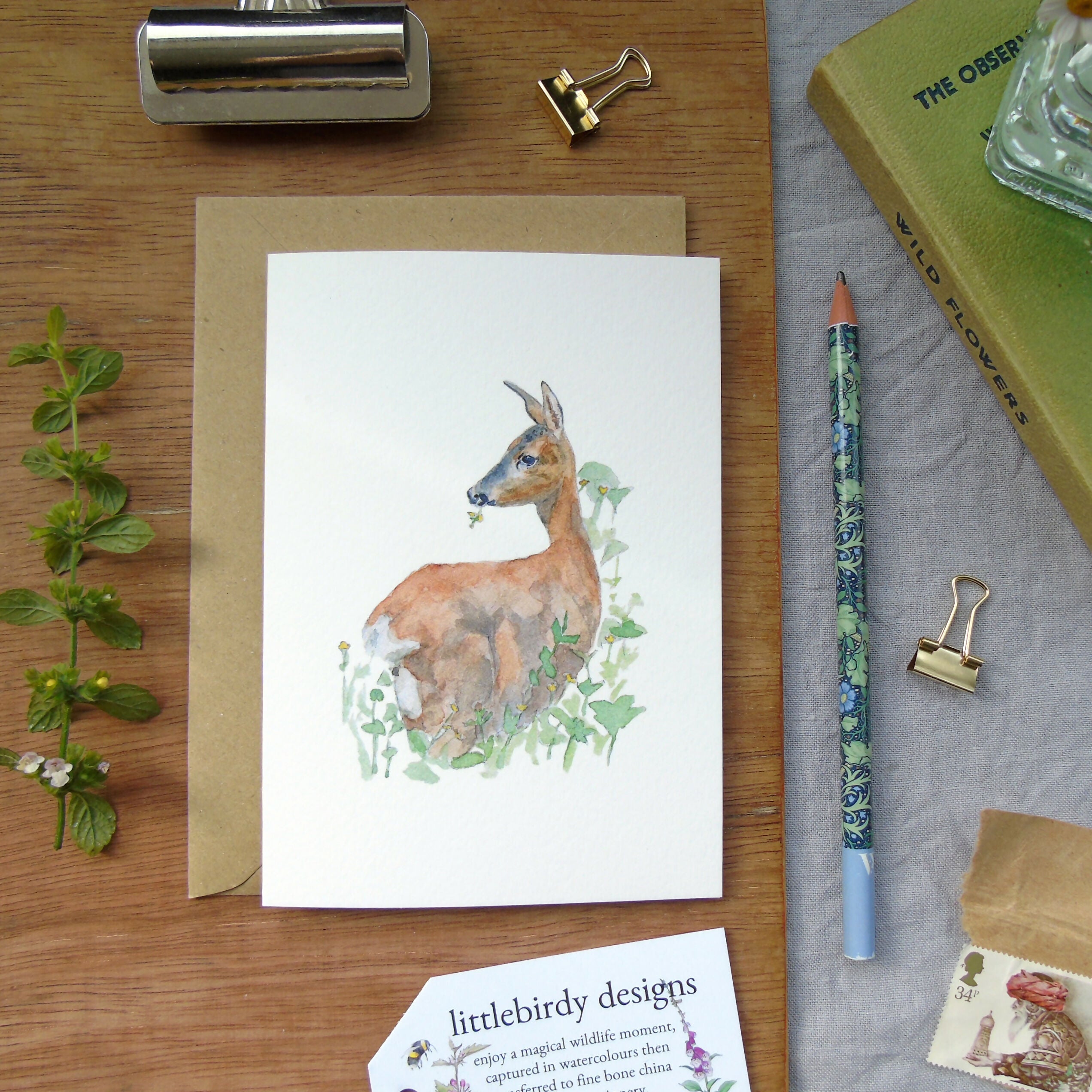 roe deer any occasion card