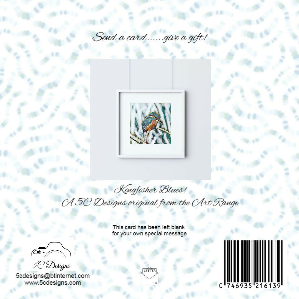 Kingfisher Blues back