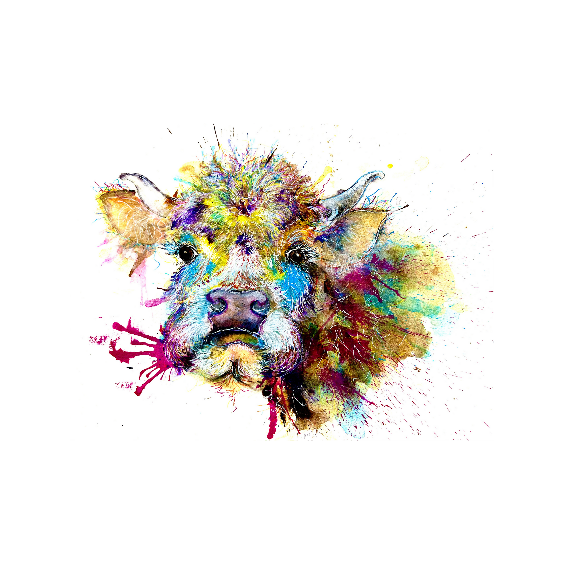 FINE ART PRINT OF BORIS THE BABY HIGHLAND COW, PART OF THE 'ANIMAL ART COLLECTION'