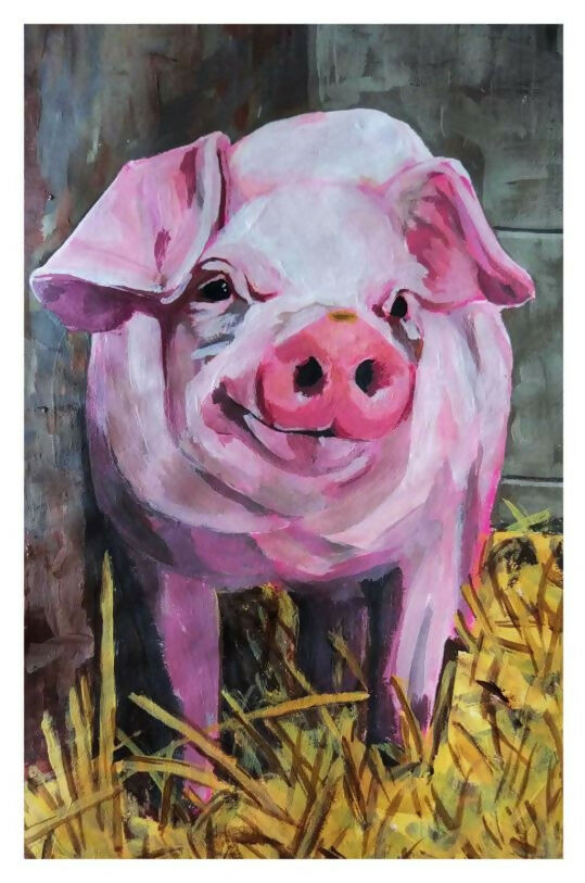 Pig