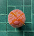 Blood Orange Hand Made Bath Bomb