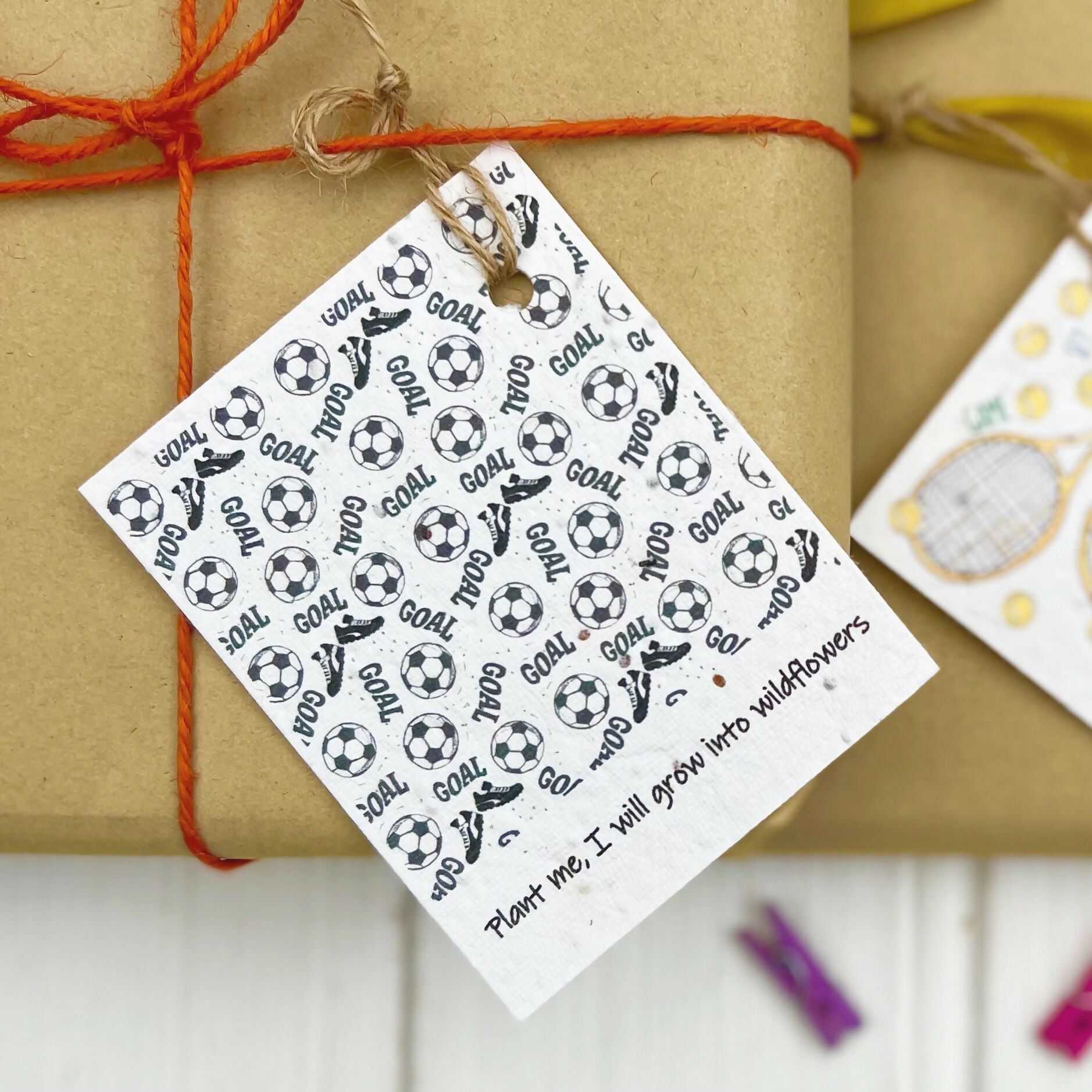 Set of Four Seed Card Gift Tags - Football Design