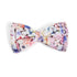 Silk Bowtie | Hand-Painted Elegance | Art & Soul