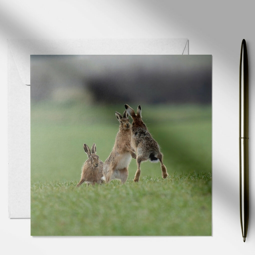 art and soul pictures (12)