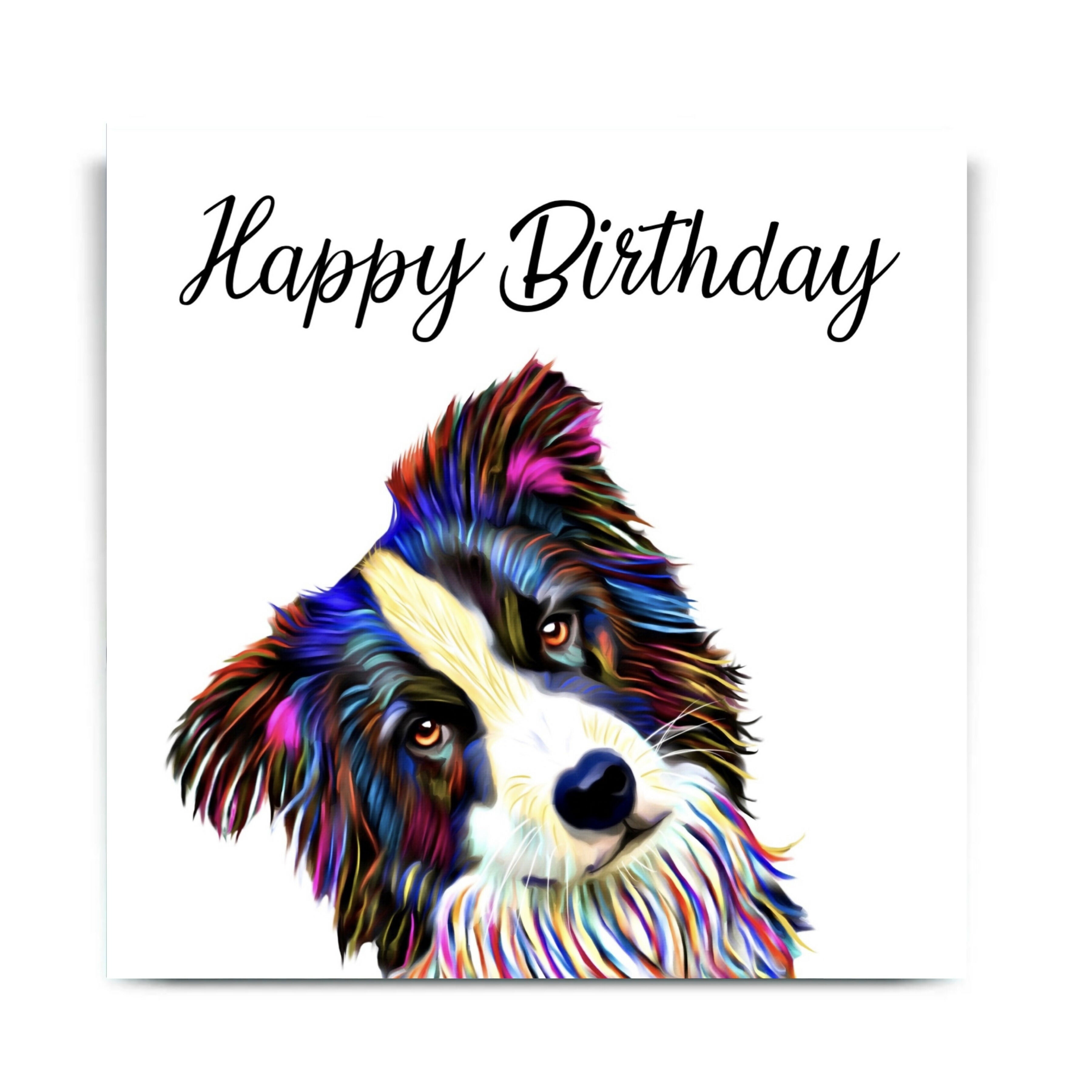 BORDER COLLIE DOG GREETINGS CARD