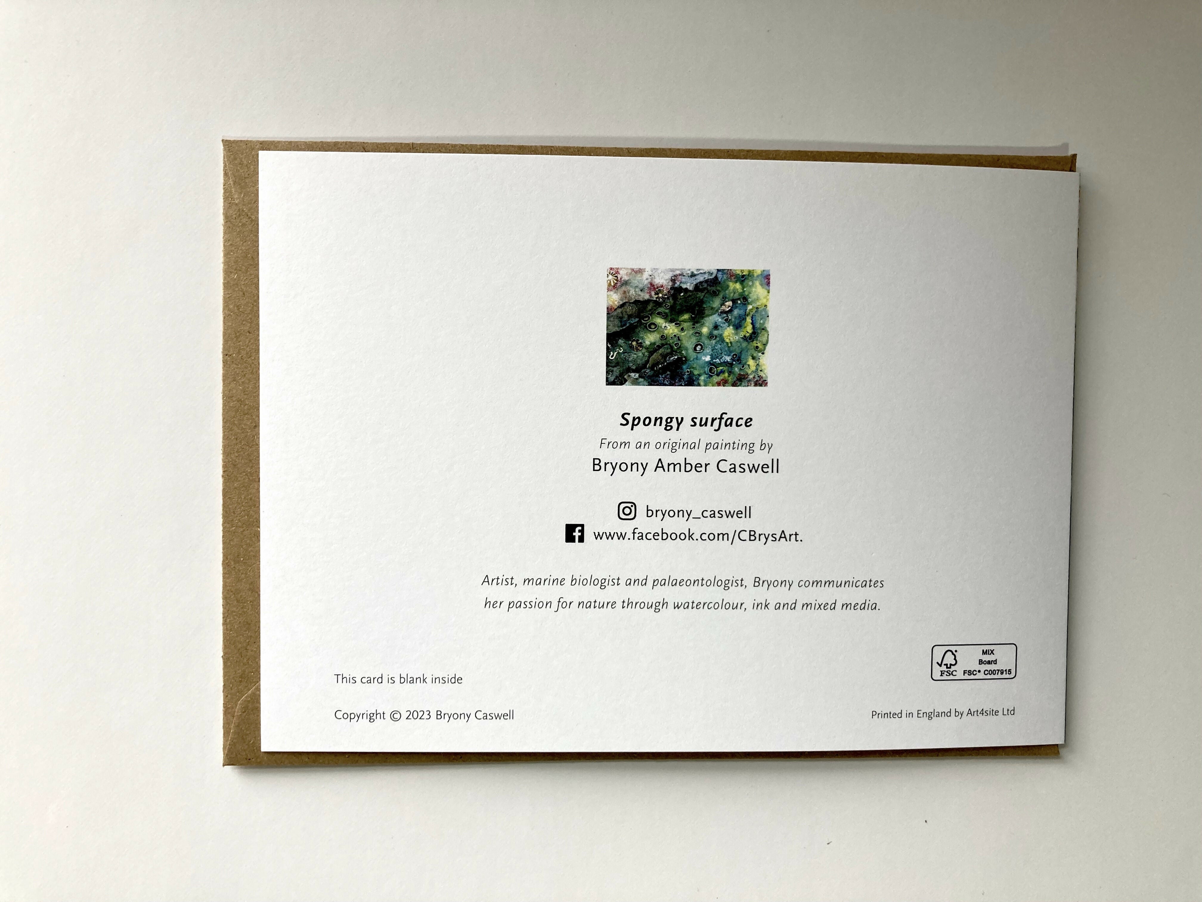 Spongy surface card back