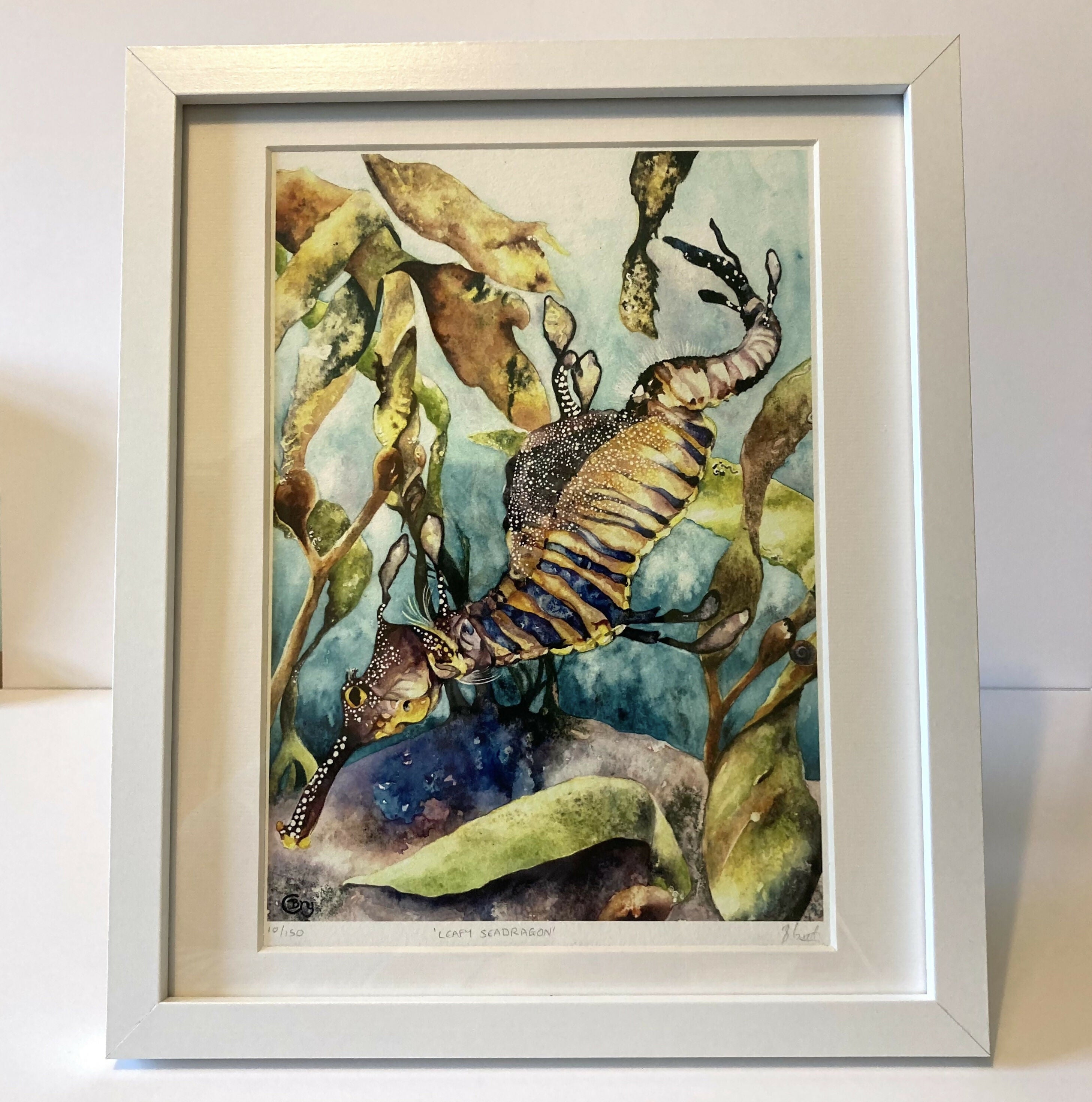 Leafy Seadragon - Print