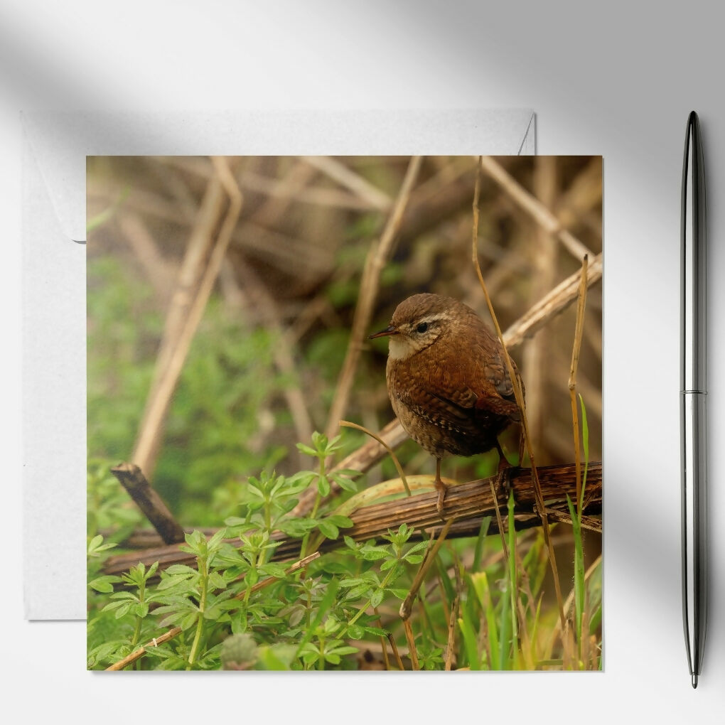 art and soul pictures (11)