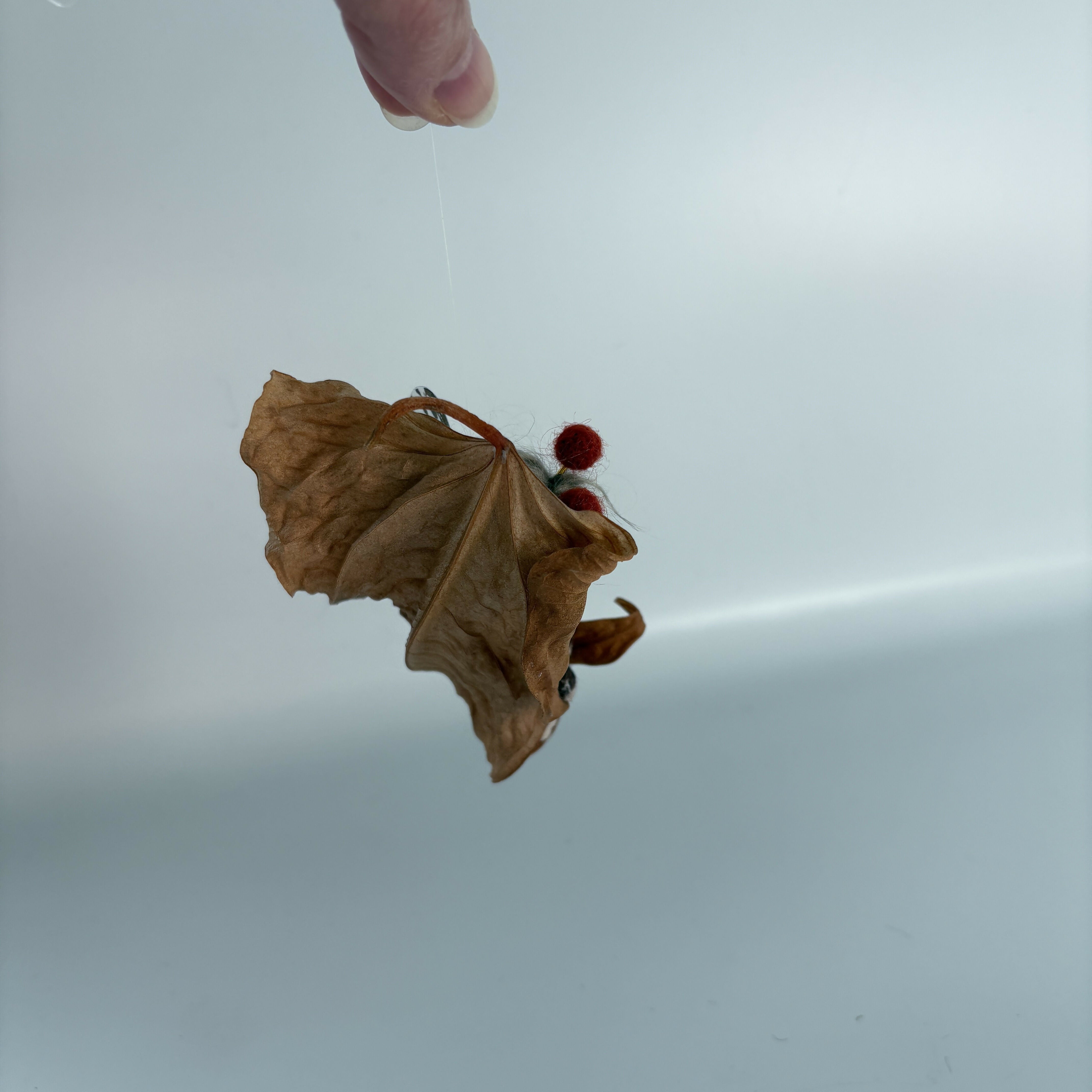 Fairy Laid Sleeping Inside A Leaf