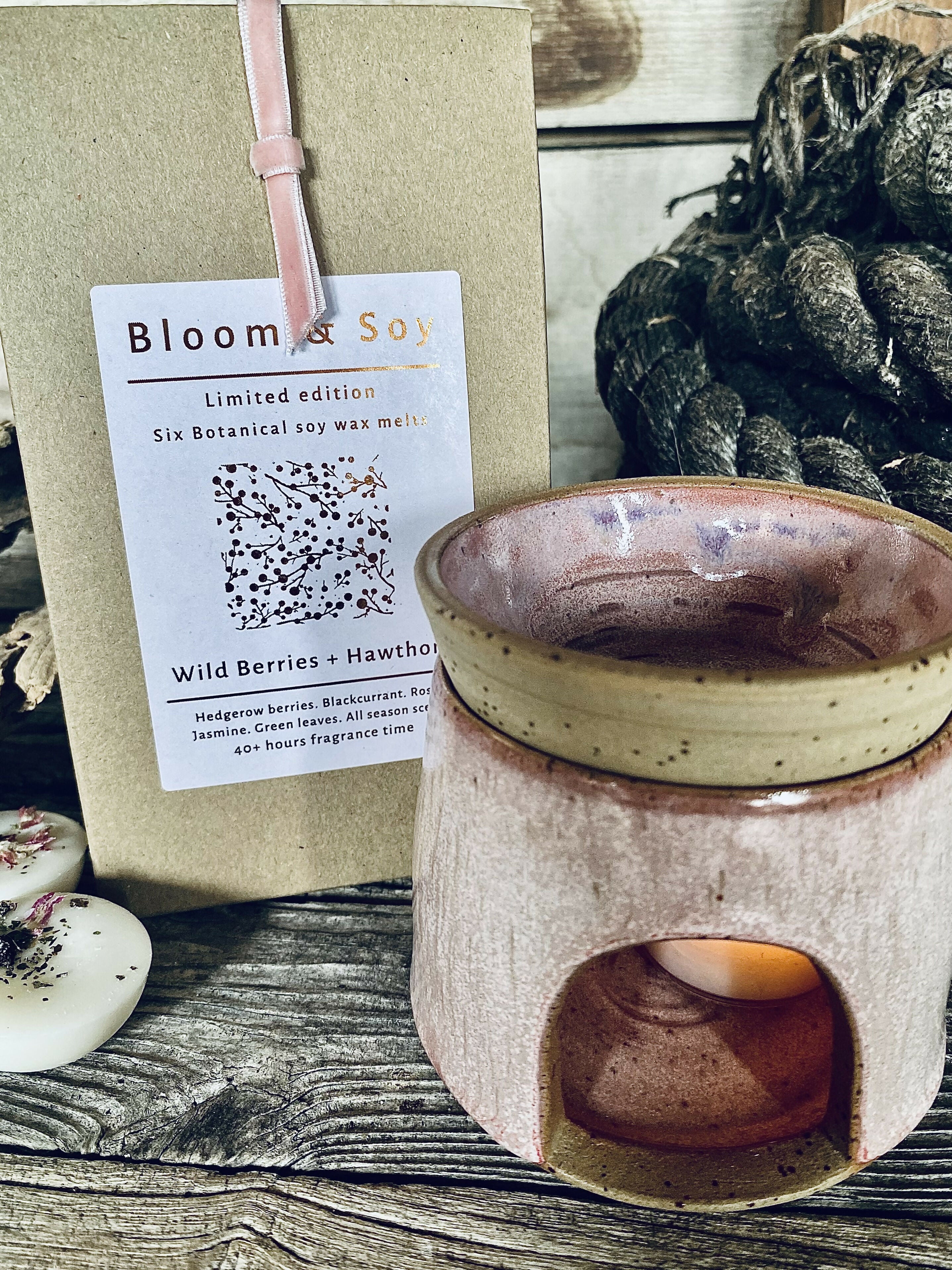 WILD BERRIES, 6 BOTANICAL SOY WAX MELTS