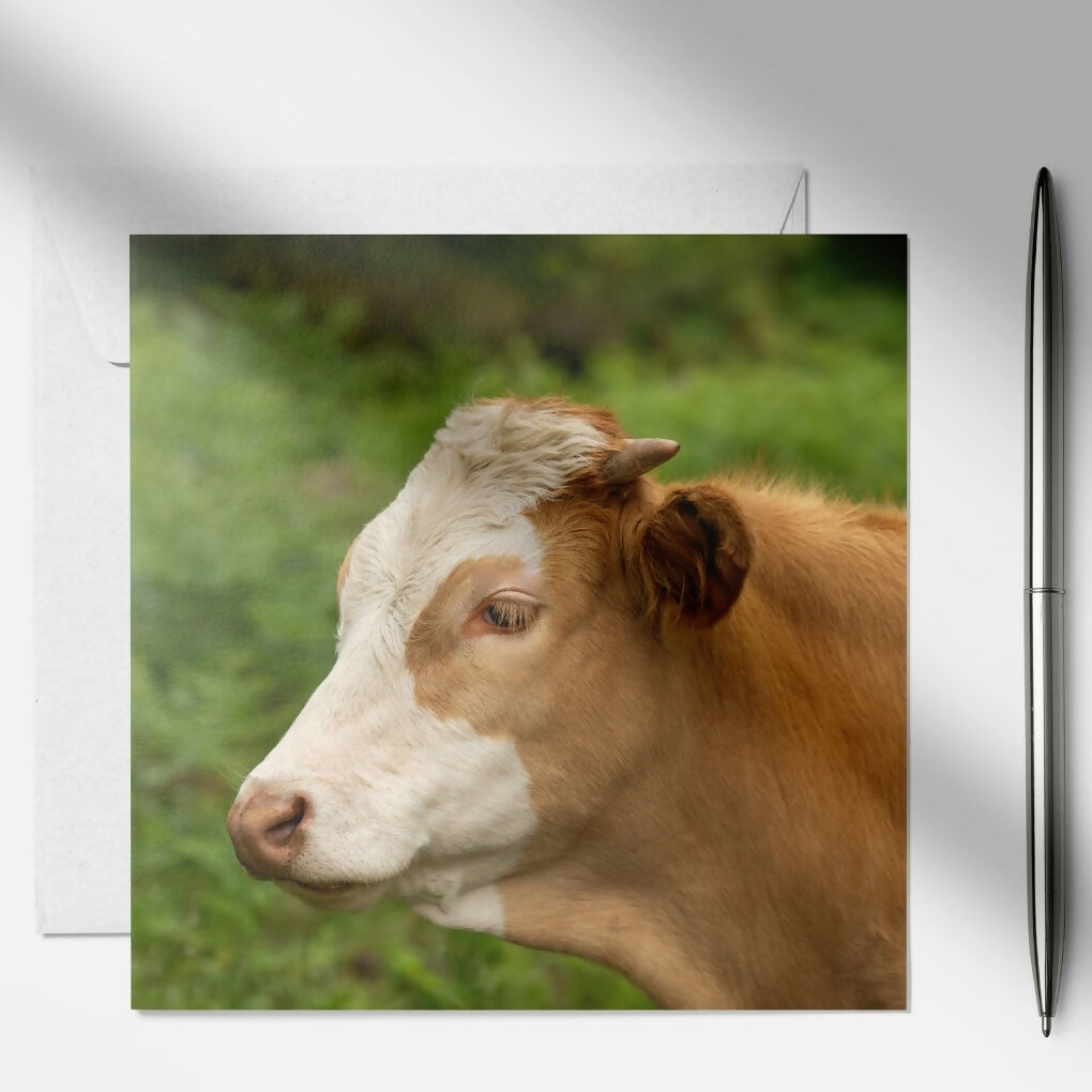 art and soul pictures (1)