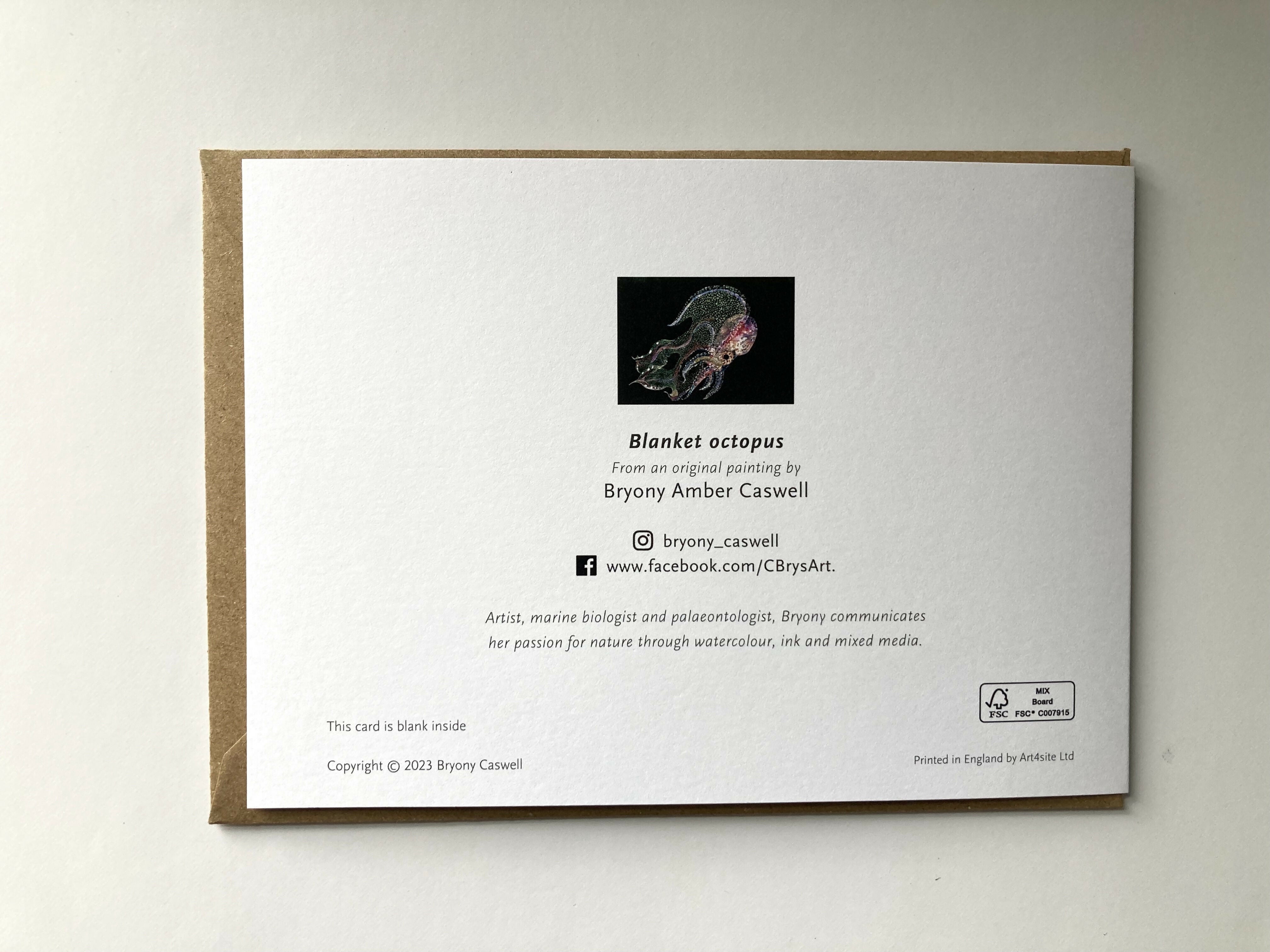 Blanket octopus card back