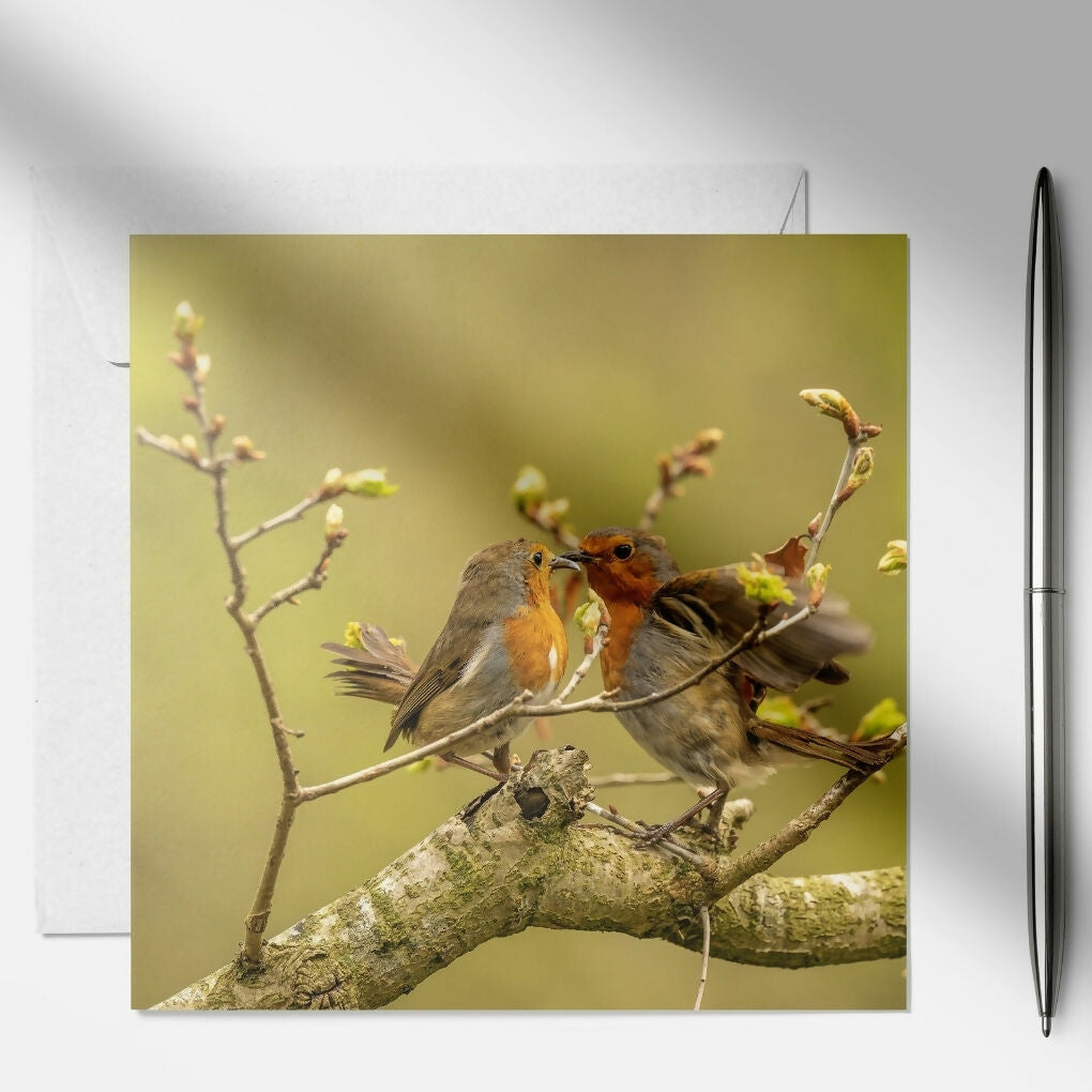 art and soul pictures (14)