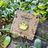 Algae the Frog Wooden Pin – Cute & Rustic Maple Pin | Art & Soul
