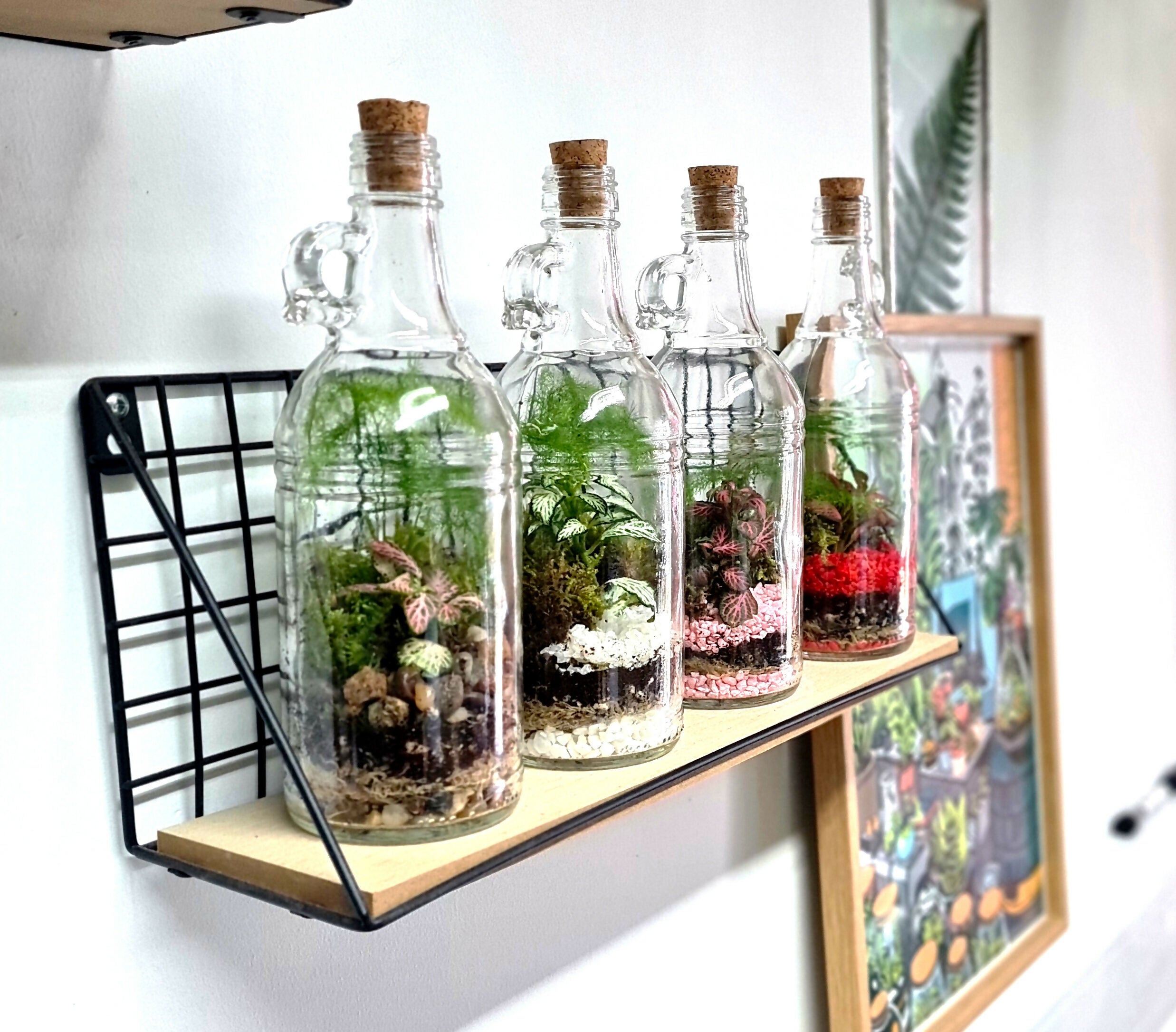 Glass bottle terrarium with plants and stones inside.