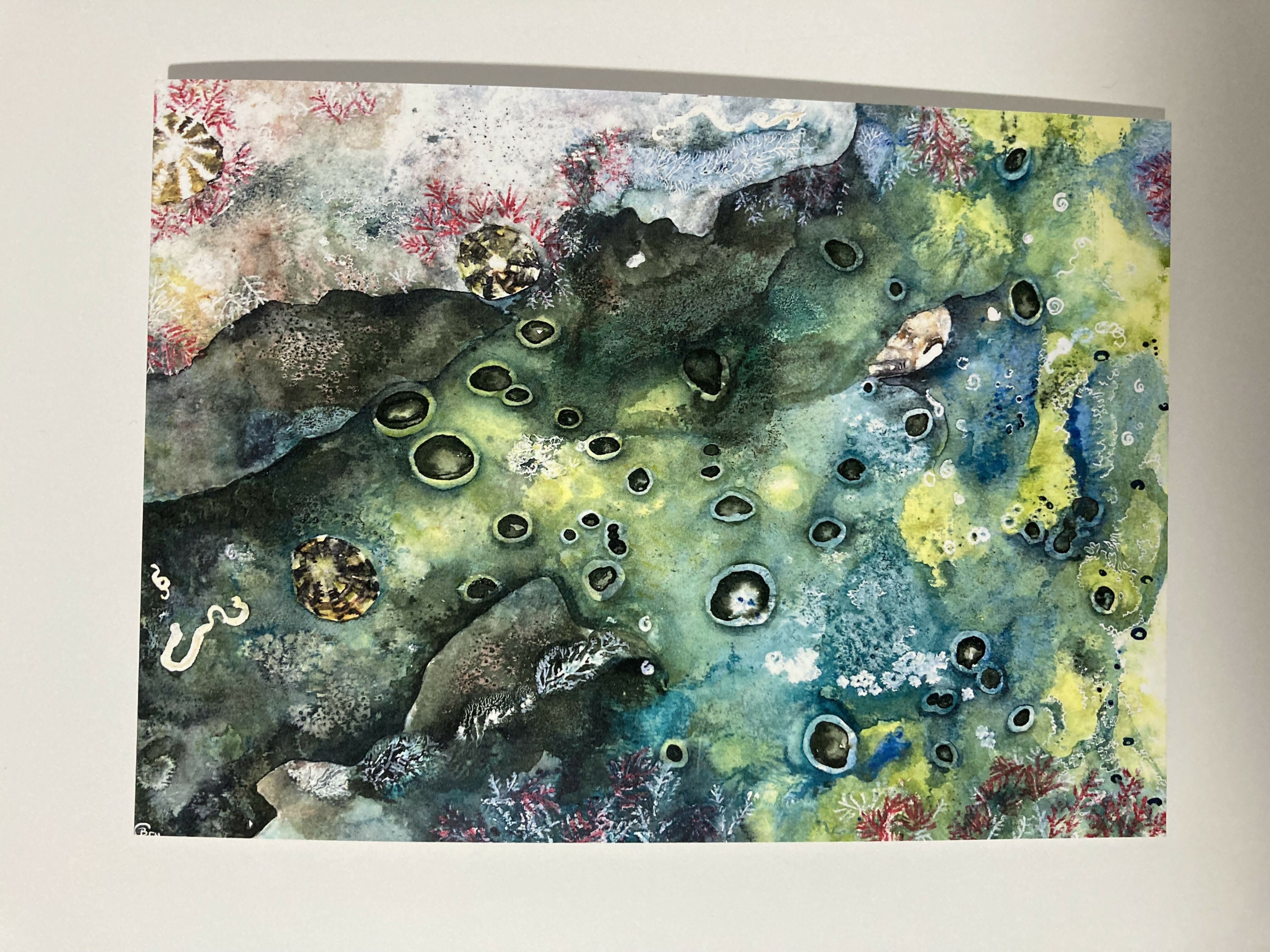 Spongy surface front