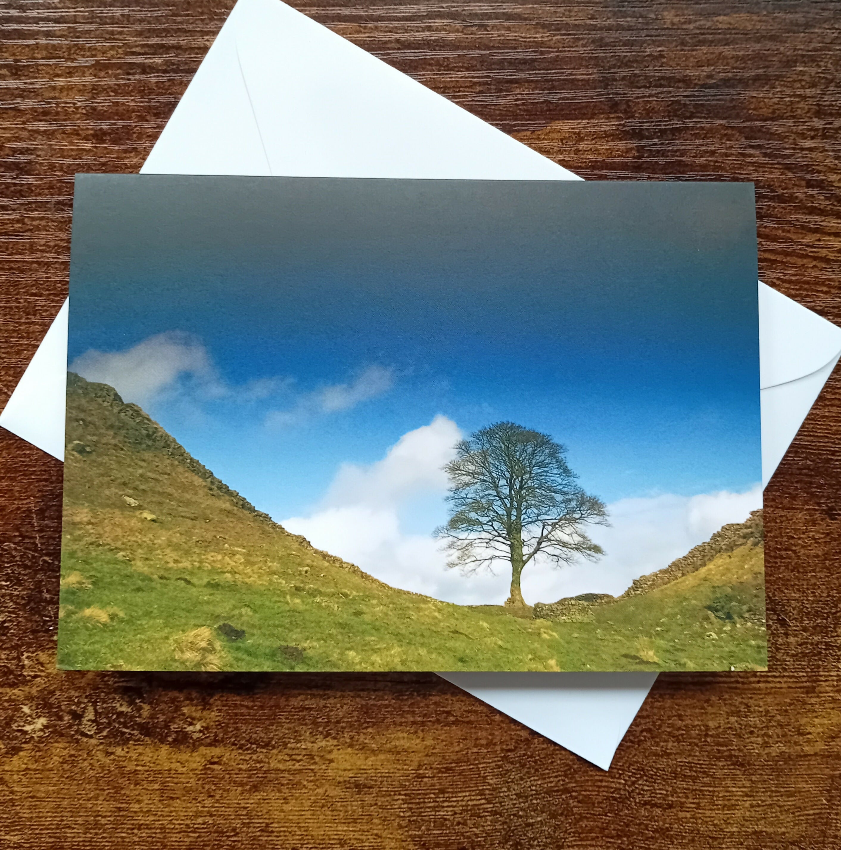 Sycamore Gap - Card