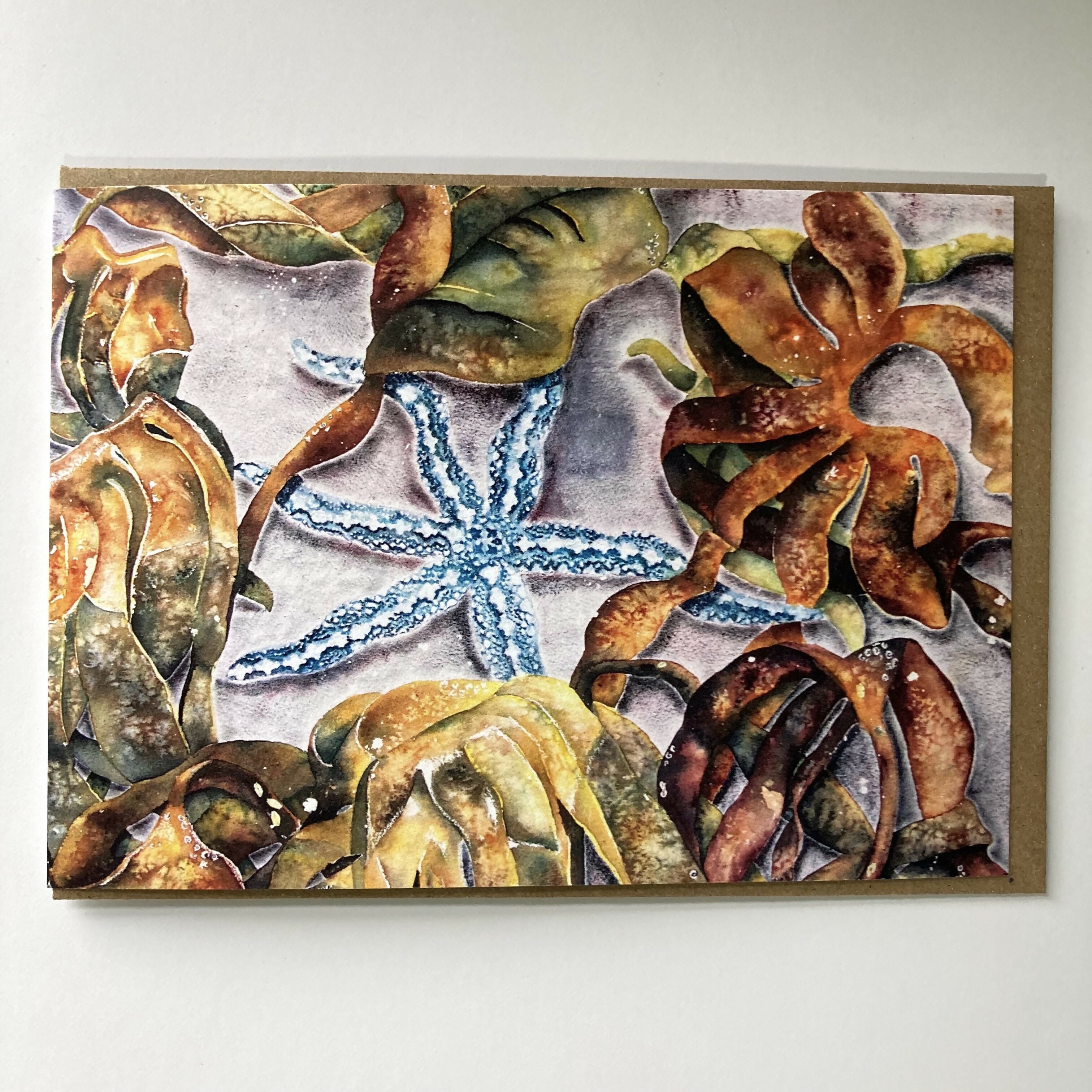 Subtidal star card front