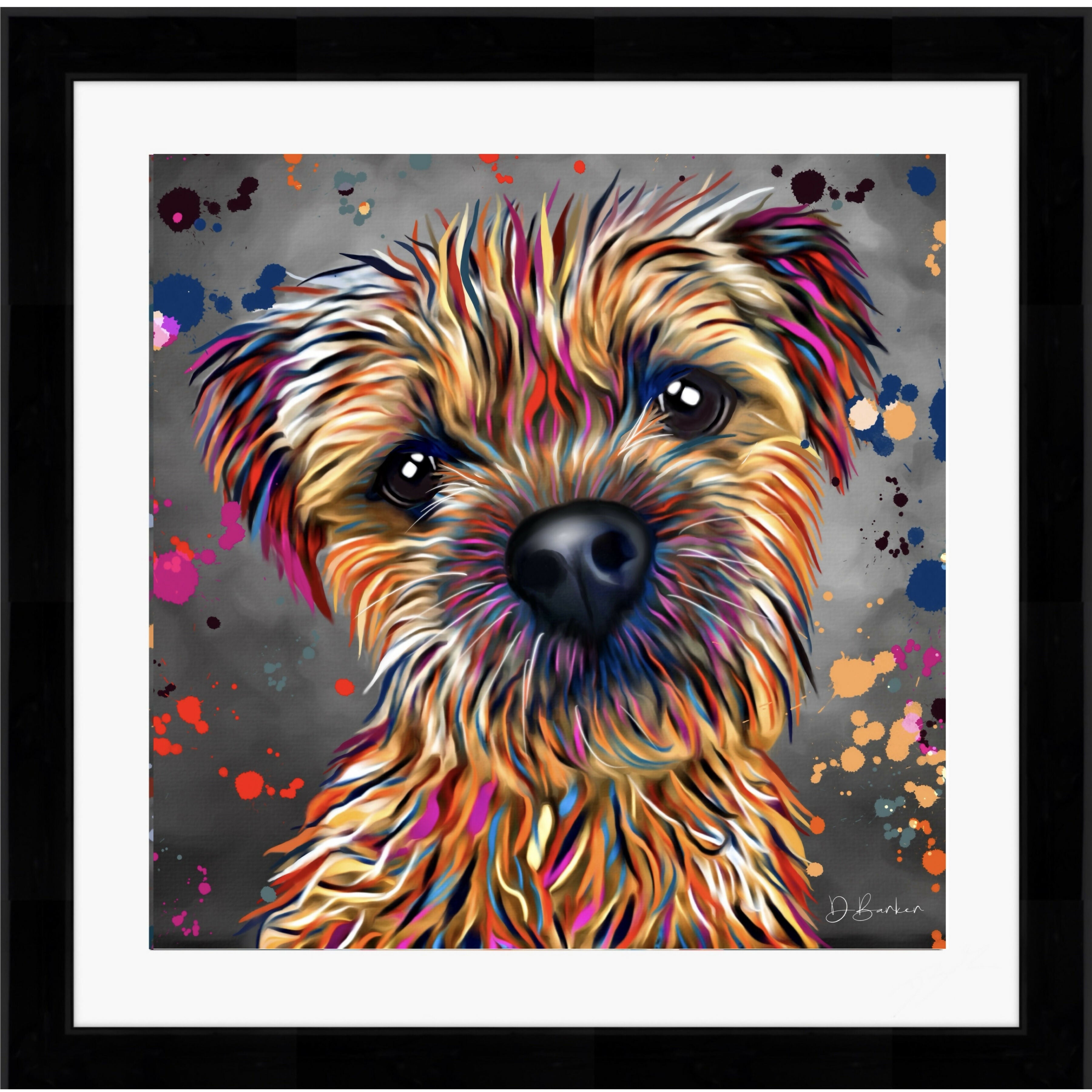 BORDER TERRIER DOG COLOUR SPLASH FRAMED ARTWORK.
