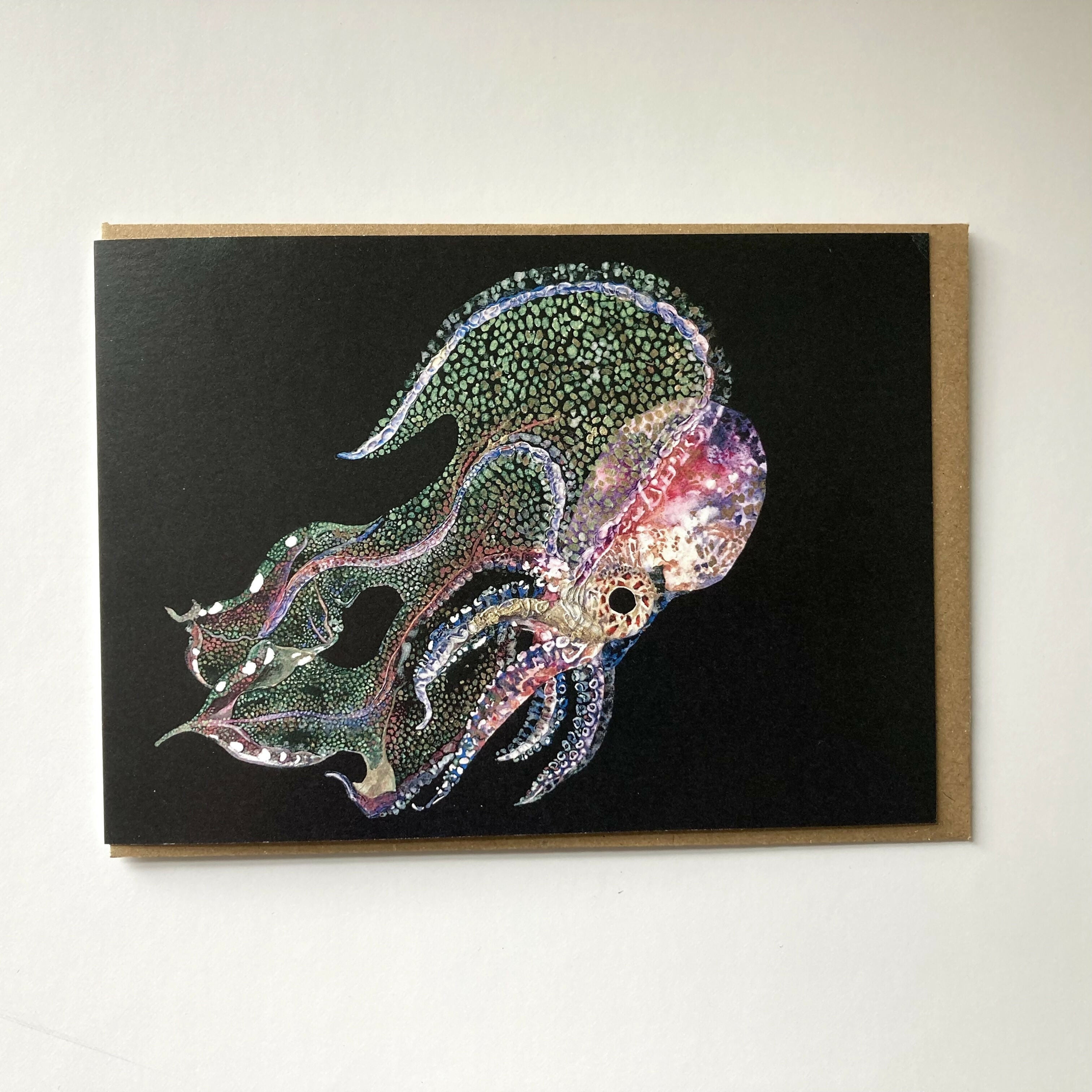 Blanket octopus front square