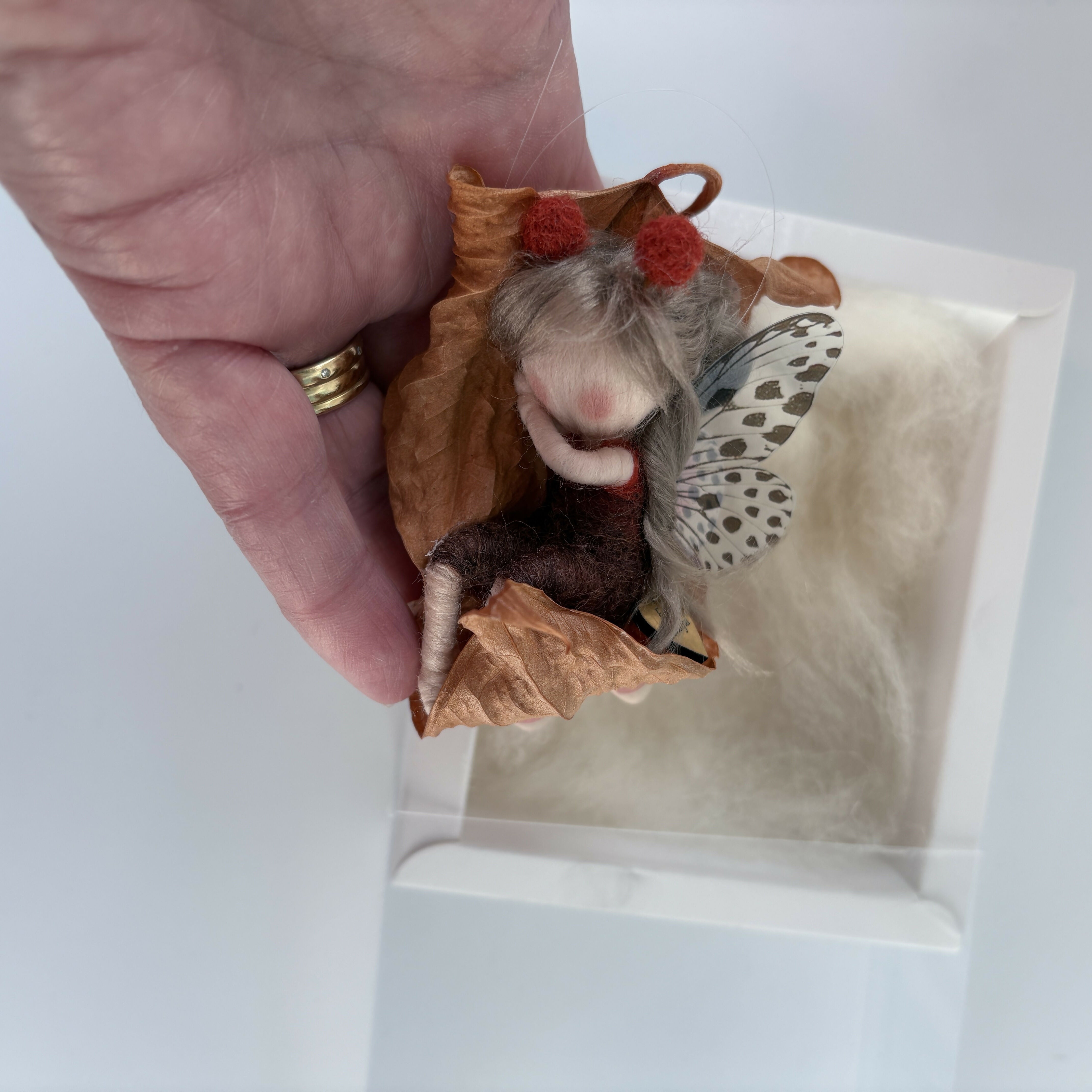 Fairy Laid Sleeping Inside A Leaf